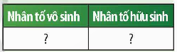 2. CÁC NHÂN TỐ SINH THÁI