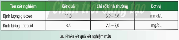 Tech12h