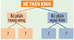 1. HỆ THẦN KINH
