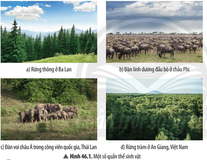 1. KHÁI NIỆM QUẦN THỂ SINH VẬT