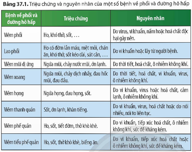 3. MỘT SỐ BỆNH VỀ PHỔI VÀ ĐƯỜNG HÔ HẤP
