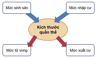 Tech12h