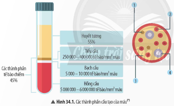 1. MÁU
