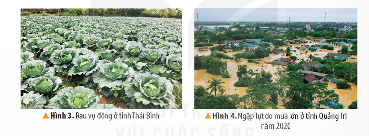 2. KHÍ HẬU VÀ SÔNG, HỒCâu hỏi: Đọc thông tin, bảng nhiệt độ trung bình của Hà Nội và Thành phố Hồ Chí Minh, quan sát các hình 3, 4 em hãy:- Trình bày đặc điểm chính của khí hậu nước ta- Nêu những thuận lợi và khó khăn của khí hậu đối với đời sống và hoạt động sản xuấtGiải chi tiết:- Đặc điểm chính của khí hậu nước ta:+ Việt Nam có khí hậu nhiệt đới ẩm gió mùa, nhiệt độ trung bình năm trên cả nước đều lớn hơn 20°C (trừ vùng núi cao)+ Khí hậu giữa miền Bắc và miền Nam có sự khác biệt: miền Bắc có 2 mùa chính là mùa hạ nóng và mùa đông lạnh còn miền Nam nóng quanh năm, có 2 mùa rõ rệt là mùa mưa và mùa khô- Những thuận lợi của khí hậu đối với đời sống và hoạt động sản xuất: + Cây trồng phát triển quanh năm cùng với năng suất cao+ Sản phẩm nông nghiệp đa dạng- Những khó khăn của khí hậu đối với đời sống và hoạt động sản xuất: chịu ảnh hưởng của thiên tai: bão, lũ lụt, hạn hán,... gây khó khănCâu hỏi: Đọc thông tin và quan sát các hình 5, 6 em hãy:- Trình bày đặc điểm của sông, hồ nước ta- Nêu vai trò của sông, hồ đối với đời sống và hoạt động sản xuấtGiải chi tiết:- Đặc điểm chính của sông, hồ nước ta:+ Việt Nam có rất nhiều sông, chủ yếu là sông nhỏ, có một số dòng sông lớn như: sông Hồng, sông Cửu Long,..+ Lượng nước sông thay đổi theo mùa: mùa lũ mực nước sông dâng cao có thể gây lũ lụt, ngập úng; mùa cạn mực nước sông hạ thấp gây nên tình trạng thiếu nước sinh hoạt và sản xuất ở một số khu vực+ Có nhiều hồ gồm cả tự nhiên lẫn nhân tạo như: hồ Ba Bể, hồ Dầu Tiếng,..- Vai trò của sông, hồ đối với đời sống và hoạt động sản xuất:+ Cung cấp nước cho sản xuất và sinh hoạt+ Tạo điều kiện phát triển đánh bắt và nuôi trồng thuỷ sản, du lịch, giao thông đường thuỷ, thuỷ điện,…3. ĐẤT VÀ RỪNGCâu hỏi: Đọc thông tin và quan sát các hình 7, 8 em hãy:- Trình bày đặc điểm của các loại đất ở nước ta.- Nêu vai trò của đất với sản xuất nông nghiệpGiải chi tiết:- Đặc điểm của các loại đất ở nước ta: có 2 nhóm đất chính là phe-ra-lít và phù sa:+ Nhóm đất phe-ra-lít phân bố ở vùng đồi núi, chua và nghèo mùn+ Nhóm đất phù sa phân bố chủ yếu ở vùng đồng bằng, tơi xốp, màu mỡ- Vai trò của đất với sản xuất nông nghiệp:+ Nhóm đất phe-ra-lít thích hợp trồng rưng, cây công nghiệp, cây ăn quả và cây dược liệu+ Nhóm đất phù sa thuận lợi trồng cây lương thực (đặc biệt là lúa nước), rau đậu, cây ăn quả,... Câu hỏi: Đọc thông tin và quan sát các hình 9, 10 em hãy:- Trình bày đặc điểm của rừng ở nước ta.- Nêu vai trò của rừng với đời sống và hoạt động sản xuấtGiải chi tiết:- Đặc điểm của các rừng ở nước ta: rừng nhiệt đới và rừng ngập mặn chiếm diện tích lớn+ Rừng nhiệt đới: chủ yếu ở vùng đồi núi, môi trường sống nóng ẩm, cây trong rừng nhiều tầng, đa dạng,...+ Rừng ngập mặn: chủ yếu ở nơi đất thấp ven biển, môi trường nước biển ngập chân, rễ chùm to khỏe, rậm rạp,...- Vai trò của rừng với đời sống và hoạt động sản xuất+ Cung cấp gỗ và sản vật phục vụ sản xuất, đời sống con người (thực phẩm, dược liệu,...)+ Hạn chế xói mòn đất, lũ lụt,... 4. MỘT SỐ BIỆN PHÁP BẢO VỆ TÀI NGUYÊN THIÊN NHIÊN VÀ PHÒNG CHỐNG THIÊN TAIĐọc thông tin, quan sát hình 11 và dựa vào hiểu biết của bản thân, em hãy nêu một số biện pháp bảo vệ tài nguyên thiên nhiên và phòng, chống thiên tai.Giải chi tiết:Một số biện pháp bảo vệ tài nguyên thiên nhiên và phòng, chống thiên tai là:+ Khai thác hợp lí, tiết kiệm tài nguyên thiên nhiên+ Vứt rác đúng nơi quy định, không xả rác bừa bãi+ Có ý thức tiết kiệm điện, nước trong sinh hoạt hàng ngày+ Mở các lớp, khoá học giáo dục các kĩ năng phòng, chống thiên tai+ Tích cực trồng cây xanh, tham gia vào các phong trào bảo vệ môi trường 5. LUYỆN TẬP