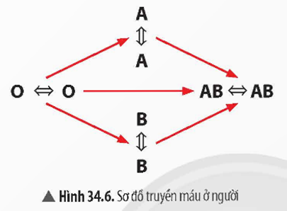 Tech12h