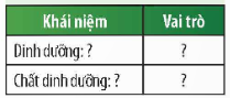 1. DINH DƯỠNG