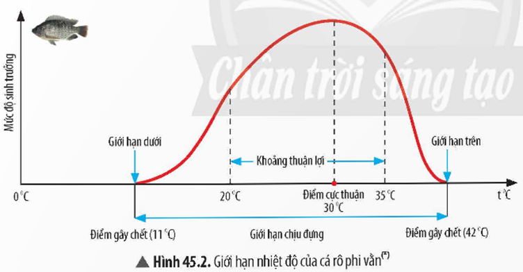 Tech12h