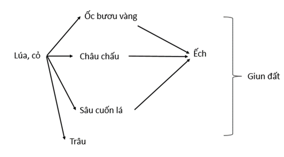 1. CHUẨN BỊ- Dụng cụ: máy ảnh, kính lúp, ống nhòm, sổ tay, bút, găng tay, khẩu trang, kính  bảo hộ, dụng cụ đào đất. - Hoá chất: nước rửa tay. 2. CÁCH TIẾN HÀNH