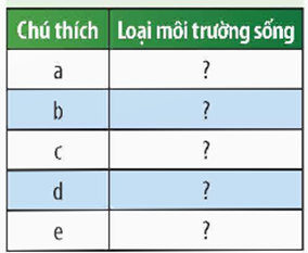 Tech12h