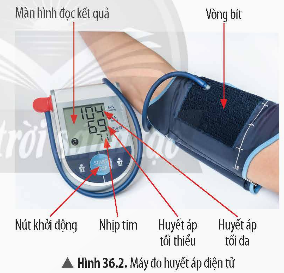 1. CHUẨN BỊ- Dụng cụ: băng y tế, gạc y tế, bông y tế, miếng dán vết thương, dây garo, máy đo huyết áp. - Hoá chất: xà phòng rửa tay, dung dịch sát trùng (iodine, nước muối sinh lí, oxy già (hydrogen peroxide)).2. CÁCH TIẾN HÀNH