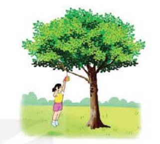 BÀI 11. CẤU TRÚC LẶP