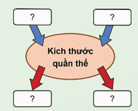 2. CÁC ĐẶC TRƯNG CƠ BẢN CỦA QUẦN THỂ SINH VẬT