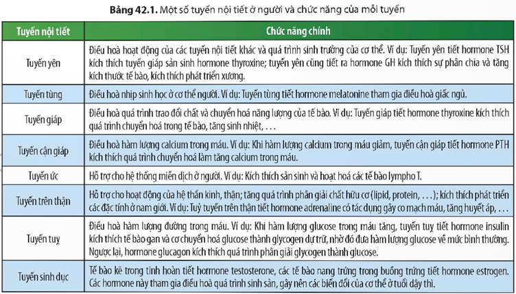 1. CÁC TUYẾN NỘI TIẾT