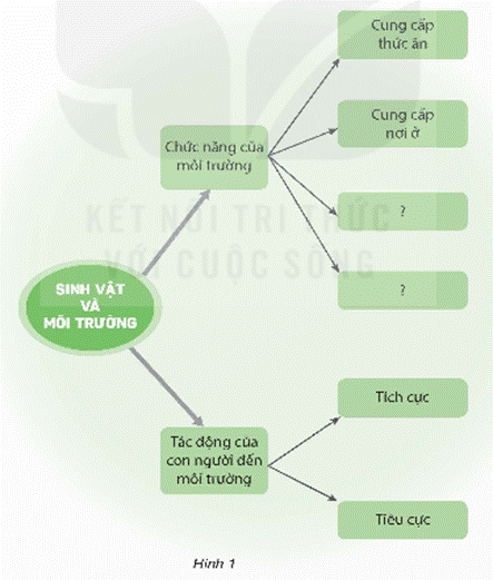MỞ ĐẦUEm đã học được những gì từ chủ để Sinh vật và môi trường? Hãy nói những điều em có thể vận dụng được vào thực tiễn khi học xong chủ đề này. Giải chi tiết:Em đã học được từ chủ để Sinh vật và môi trường: Chức năng của môi trường, tác động của con người đến môi trường. Em đã có những hành động tác động tích cực lên môi trường như phân loại và tái chế rác thải, xử dụng nguồn nhiên liệu tự nhiên, tắt các thiết bị điện khi không sử dụng,… Luyện tập, vận dụng