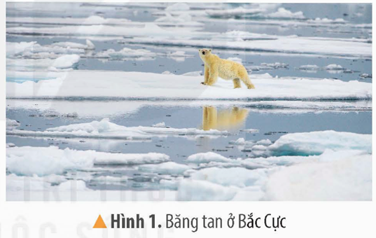 Khởi động: Quan sát hình 1 và dựa vào hiểu biết của bản thân, hãy cho biết nếu Trái Đất tiếp tục nóng lên, điều gì sẽ xảy ra với các đối tượng trong ảnh?Giải chi tiết:Nếu Trái Đất tiếp tục nóng lên sẽ làm tan chảy băng - môi trường sống của những con gấu ở Bắc Cực và chúng sẽ phải đối mặt với việc bị tuyệt chủng 1. VAI TRÒ CỦA THIÊN NHIÊN ĐỐI VỚI CUỘC SỐNG CON NGƯỜICâu hỏi: Đọc thông tin, em hãy:- Nêu vai trò của thiên nhiên đối với cuộc sống của con người- Lấy ví dụ minh hoạ về một trong các vai trò của thiên nhiênGiải chi tiết:- Vai trò của thiên nhiên đối với cuộc sống của con người:+ Là không gian sinh sống, cung cấp nguồn tài nguyên cần thiết cho hoạt động sản xuất và sinh hoạt của con người+ Chứa đựng các chất thải do con người tạo ra- Ví dụ minh hoạ về một trong các vai trò của thiên nhiên: thiên nhiên cung cấp nước trong sinh hoạt để con người sử dụng2. MỘT SỐ VẤN ĐỀ VỀ MÔI TRƯỜNG TRÊN THẾ GIỚICâu hỏi: Đọc thông tin và quan sát các hình từ 2 đến 5, em hãy:- Kể tên một số vấn đề môi trường con người đang phải đối mặt- Trình bày biểu hiện và tác động của một số vấn đề môi trường đóGiải chi tiết:- Một số vấn đề môi trường con người đang phải đối mặt: thiên tai, biến đổi khí hậu, suy giảm tài nguyên thiên nhiên, ô nhiễm môi trường,...- Biểu hiện và tác động của một số vấn đề môi trường là:Vấn đề môi trườngBiểu hiệnTác độngThiên taiBão, lũ, động đất, sóng thần, núi lửa, hạn hán,... xuất hiện ngày càng nhiềuGây thiệt hại về người và tài sản, ảnh hưởng tới sinh hoạt và hoạt động sản xuất của con ngườiBiến đổi khí hậuSự nóng lên toàn cầu và mực nước biển dângLàm suy giảm sức khoẻ của con người và gây thiệt hại về kinh tế, môi trườngSuy giảm tài nguyên thiên nhiênDiện tích rừng tự nhiên và số lượng cá thể, loài sinh vật giảm; tài nguyên khoáng sản dần cạn kiệt;...Làm mất môi trường sống của nhiều loài sinh vật, suy giảm đa dạng sinh học và gây khó khăn cho sinh hoạt và sản xuấtÔ nhiễmmôi trườngMôi trường đất, nước, không khí... một số nơi bị biến đổi theo chiều hướng xấuGia tăng các loại dịch bệnh và làm suy giảm sức khoẻ con người 3. BIỆN PHÁP XÂY DỰNG THẾ GIỚI XANH – SẠCH – ĐẸPCâu hỏi: Đọc thông tin, em hãy đề xuất một số biện pháp để xây dựng thế giới xanh – sạch – đẹpGiải chi tiết:Một số biện pháp để xây dựng thế giới xanh – sạch – đẹp là:- Hạn chế sử dụng túi ni lông, sử dụng các vật dụng có chất liệu từ thiên nhiên- Vứt rác đúng nơi quy định, không xả rác bừa bãi- Không xả nước thải ra sông, hồ,..- Tiết kiệm điện, nước khi không sử dụng- Sử dụng các phương tiện công cộng để di chuyển4. LUYỆN TẬPHãy vẽ sơ đồ về một số vấn đề về môi trường trên thế giớiGiải chi tiết:4. VẬN DỤNG