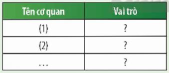 1. CÁC CƠ QUAN TRONG CƠ THỂ NGƯỜI