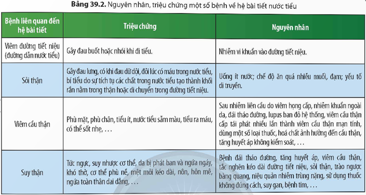3. MỘT SỐ BỆNH VỀ HỆ BÀI TIẾT NƯỚC TIỂU