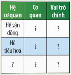 2. CÁC HỆ CƠ QUAN TRONG CƠ THỂ NGƯỜI