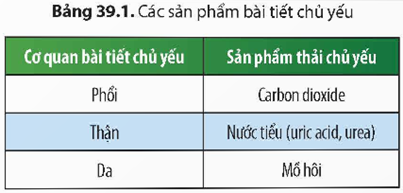 1. CHỨC NĂNG HỆ BÀI TIẾT