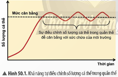 1. KHÁI NIỆM CÂN BẰNG TỰ NHIÊN VÀ NGUYÊN NHÂN GÂY MẤT CÂN BẰNG TỰ NHIÊN