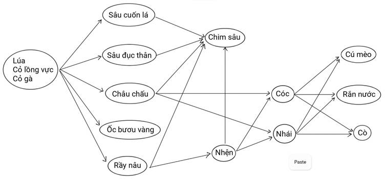 MỞ ĐẦUTại sao những vùng biển có chất vô cơ ở đáy cuộn lên bề mặt thường có tổng sinh khối lớn hơn tổng sinh khối ở những vùng biển lặng?Giải chi tiết:Vì chất vô cơ bị cuộn lên sẽ tạo thành một vòng tuần hoàn vật chất, mang theo chất dinh dưỡng từ đáy biển cung cấp cho sinh vật sinh trưởng và phát triển, làm tăng các hoạt động sống của sinh vật, từ đó tạo ra sinh khối lớn hơn.I. KHÁI QUÁT TRAO ĐỔI VẬT CHẤT VÀ CHUYỂN HÓA NĂNG LƯỢNG TRONG HỆ SINH THÁIII. TRAO ĐỔI VẬT CHẤT TRONG HỆ SINH THÁIQuan sát Hình 29.3 và trả lời các câu hỏi sau:Câu 1: Mỗi loài trong hình được xếp vào các bậc dinh dưỡng nào?Giải chi tiết:Bậc dinh dưỡng cấp 1: CỏBậc dinh dưỡng cấp 2: Thỏ, chuột, cào cào, chim sẻBậc dinh dưỡng cấp 3: Cáo, cú, chuột, chim sẻBậc dinh dưỡng cấp 4: Cáo, cúCâu 2: Vì một lí do nào đó mà chim cú bị loại bỏ khỏi hệ sinh thái thì có thể dẫn đến sự gia tăng số lượng của những loài nào?Giải chi tiết:Nếu chim cú bị loại bỏ khỏi hệ sinh thái thì có thể sẽ dẫn đến sự gia tăng số lượng của cáo, chuột và thỏ.III. DÒNG NĂNG LƯƠNG TRONG HỆ SINH THÁICâu 1: Phân biệt ba dạng tháp sinh thái.Giải chi tiết:Tháp sinh thái xây dựng dựa trên số lượng cá thể sinh vật ở mỗi bậc dinh dưỡng.Tháp sinh khối xây dựng dựa trên khối lượng tổng số của tất cả các sinh vật trên một đơn vị diện tích hay thể tích ở mỗi bậc dinh dưỡng.Tháp năng lượng được xây dựng dựa trên số năng lượng được tích luỹ trên một đơn vị diện tích hay thể tích, trong một đơn vị thời gian ở mỗi bậc dinh dưỡng.Câu 2: Tại sao trong mối quan hệ giữa vật ăn thịt và con mồi, tổng sinh khối của vật ăn thịt luôn nhỏ hơn tổng sinh khối của con mồi?Giải chi tiết:Tổng sinh khối của vật ăn thịt luôn nhỏ hơn tổng sinh khối của con mồi do: Ở mỗi bậc dinh dưỡng, phần lớn năng lượng bị tiêu hao qua hô hấp, chất thải và các bộ phận rơi rụng, năng lượng truyền lên bậc dinh dưỡng cao hơn chỉ khoảng 10%. Năng lượng tích lũy tạo ra sinh khối ở mỗi bậc dinh dưỡng chiếm khoảng 10% năng lượng nhận từ bậc dinh dưỡng liên kề thấp hơn. Vì vậy sinh vật có bậc dinh dưỡng cao hơn là vật ăn thịt sẽ tạo ra sinh khối thấp hơn con mồi.LUYỆN TẬP VÀ VẬN DỤNG