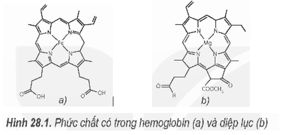 BÀI 28. SƠ LƯỢC VỀ PHỨC CHẤT