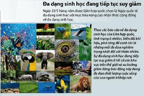 I. LẬP KẾT HOẠCH1. Mục tiêu, nhiệm vụ, sản phẩm dự kiếnMục tiêu:Thực hiện được bài tập (hoặc dự án) về thực trạng bảo tồn hệ sinh thái ở địa phương và đề xuất giải pháp bảo tồn.Rèn luyện các kĩ năng làm việc nhóm, lập kế hoạch, quan sát, phỏng vấn hiện trường.Nhiệm vụ:Lập được kế hoạch làm việc của nhóm để thực hiện dự án.Đi thực địa để tìm hiểu về thực trạng công tác bảo tồn các hệ sinh thái tại địa phương.Viết báo cáo thực trạng công tác bảo tồn các hệ sinh thái tại địa phương và đề xuất các giải pháp nâng cao hiệu quả.Trình bày báo cáo bằng các phần mềm trình chiếu hoặc làm poster dán lên bảng tin của trường (giáo viên và học sinh thống nhất cách trình bày).Sản phẩm dự kiến:Bản kế hoạch thực hiện dự án tìm hiểu thực trạng bảo tồn.Báo cáo thực trạng công tác bảo tồn hệ sinh thái tại địa phương và đề xuất các giải pháp bảo tồn (sử dụng các phần mềm trình chiếu/ video/ tập ảnh).2. Lựa chọn chủ đềTuỳ thuộc vào điều kiện cụ thể của địa phương mà giáo viên và học sinh thống nhất lựa chọn một trong các hoạt động bảo tồn sau đây:Đánh giá thực trạng công tác bảo tồn hệ sinh thái tại địa phương A và đề xuất giải pháp nâng cao hiệu quả bảo tồn đa dạng sinh vật.Đánh giá thực trạng bảo tồn loài cây/con... tại địa phương A và đề xuất giải các pháp cần thiết để nâng cao hiệu quả bảo tồn, phát huy giá trị của loài.3. Lập kế hoạch và phân công nhiệm vụGợi ý bảng phân công chi tiết:Thời gianYêu cầu công việcSản phẩm dự kiếnNgười thực hiệnĐịa điểm thực hiệnCông cụ/ người hỗ trợPhương pháp dự kiếnSáng thứ 6 Lập nhómDanh sách các thành viên trong nhómCả nhómTrên lớp Thảo luận nhómChiều thứ 6Thu thập thông tin và số liệu tổng quanMô tả khái quát về các hoạt động ở địa phươngCả nhómThư viện của trường Đọc và thống kêChiều thứ 6Chọn địa điểm, lập kế hoạch thực hiệnBản kế hoạch chi tiếtCả nhómTrên lớp Thảo luận nhómChiều thứ 6Thảo luận về nhiệm vụ cụ thể và thông tin cần thiếtBản yêu cầu thông tin và số liệu cần thiếtCả nhómTrên lớp Thảo luận nhómSáng thứ 7Xây dựng phiếu thu thập số liệu, phiếu phỏng vấnMẫu phiếu, biểu mẫu khảo sát trực tuyếnThu, Ngân, MaiTrên lớpGoogle FormCác bạn được phân công tiến hành thảo luậnSáng thứ 7Chuẩn bị các điều kiện cần để tiến hành đi thực địaChốt lịch hẹn, phương tiện và công cụ cầnCả nhómTrên lớp Nhóm phân công, cá nhân thực hiệnChiều thứ 7Đi thực địa và thu thập số liệuCác phiếu thông tin, các bảng ghi chép cá nhânCả nhómNơi bảo tồn/phục hồi Quan sát, phỏng vấnSáng chủ nhậtThống kê số liệu, tập hợp thông tin và hình ảnhCác bảng, các biểu đồ, các hình ảnhAn, My, Trung.Ở nhàCác công cụ thông kê, phân tích số liệu (Excel,..)Thống kê, phân tíchChiều chủ nhậtViết báo cáoBáo cáoLan, Kiên, Minh, NhiỞ nhàPowerpoint, tranh ảnh, tài liệu,... Sáng thứ 2Trình bày báo cáoSlide thuyết trình, tranh ảnh, poster, videoMạnh, TrangTrên lớpMáy chiếu, dụng cụ treo tranh,... II. THỰC HIỆN DỰ ÁNThu thập thông tinXử lý thông tinThảo luậnIII. BÁO CÁO ĐÁNH GIÁ1. Xây dựng sản phẩmGợi ý: Sản phẩm có thể ở dưới dạng tranh ảnh, slide thuyết trình, poster hoặc video,...Ví dụ:2. Trình bày sản phẩmSản phẩm dạng tranh ảnh: được treo trên tường, trên giá, bảng tin của nhà trường hoặc lớp học,...Sản phẩm dạng slide thuyết trình: được trình bày bằng các slide trên phần mềm trình chiếu và có thành viên của nhóm thuyết trình.Sản phẩm dạng video: có thể trình bày bằn phần mềm tình chiếu trước lớp, đăng lên trang web của nhà trường hoặc các mạng xã hội.3. Đánh giá