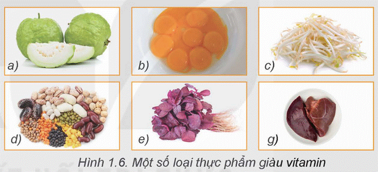 KHỞI ĐỘNG Các loại thực phẩm trong Hình 1.1 được chia thành các nhóm chất dinh dưỡng khác nhau. Đó là những nhóm gì và đóng vai trò như thế nào đối với cơ thể người?Giải chi tiết:1. Đạm (protein): - Là thành phần cấu trúc chính của tế bào và mô trong cơ thể, bao gồm cả tế bào cơ, tế bào da, tế bào máu và các enzyme. - Cần thiết cho quá trình tạo ra và duy trì các cơ bắp, mô sừng, tóc và móng. - Tham gia vào quá trình tái tạo và sửa chữa các mô và tế bào hư tổn. - Cung cấp năng lượng cho cơ thể khi cần thiết.2. Tinh bột (carbohydrate): - Là nguồn năng lượng chính cho cơ thể. Sau khi tiêu hóa, tinh bột được chuyển hóa thành đường glucose để cung cấp năng lượng cho các hoạt động của cơ thể. - Cung cấp năng lượng cho não và hệ thần kinh hoạt động. - Làm đầy bụng và giữ cảm giác no lâu hơn, giúp kiểm soát cân nặng.3. Chất xơ: - Giúp duy trì hệ tiêu hóa lành mạnh bằng cách tăng cường sự di chuyển của thức ăn trong ruột và kích thích sự tiêu hóa. - Giảm nguy cơ táo bón bằng cách tăng cường khả năng hấp thụ nước trong đại tràng. - Giúp kiểm soát đường huyết bằng cách chậm hấp thụ đường và giảm nguy cơ tiểu đường type 2. - Có thể giúp giảm cân bằng cách làm giảm cảm giác đói và kiểm soát lượng thức ăn tiêu thụ. I. CÁC CHẤT SINH NĂNG LƯỢNGCâu hỏi: Đọc nội dung mục I.1 và quan sát Hình 1.2, kết hợp với hiểu biết cá nhân, hãy kể tên một số loại thực phẩm giàu protein và phân tích vai trò của protein đối với cơ thể người.- Một số vai trò chính của protein đối với cơ thể người:+ Tạo hình: là vai trò quan trọng nhất của protein, giúp xây dựng và tái tạo tất cả các mô của cơ thể.+ Tham gia vận chuyển chất dinh dưỡng: phần lớn các chất vận chuyển dinh dưỡng là protein, khi thiếu protein thì việc hấp thụ, vận chuyển một số chất dinh dưỡng bị ảnh hưởng, dẫn đến cơ thể bị thiếu chất dù trong khẩu phần ăn thực tế không thiếu các chất dinh dưỡng đó.+ Điều hoà hoạt động của cơ thể: protein là thành phần cầu tạo chính của hormone, enzyme,... có chức năng điều hoà chuyển hoá, cân bằng nội môi.+ Cung cấp năng lượng: giúp cơ thể sinh trưởng và phát triển.Giải chi tiết:- Một số loại thực phẩm giàu protein: thịt gia cầm, thịt bò, thịt lợn, cá, hải sản, sữa, đậu, óc chó, hạnh nhân,... Câu hỏi: Tại sao trong khẩu phần ăn cần có sự kết hợp nhiều loại thực phẩm. kết hợp giữa thực phẩm có nguồn gốc động vật và thực vật?Giải chi tiết:Việc kết hợp nhiều loại thực phẩm, bao gồm cả thực phẩm từ nguồn gốc động vật và thực vật, giúp cung cấp đầy đủ các dạng protein, axit amin, vitamin, khoáng chất và chất xơ cho cơ thể, đồng thời giúp duy trì sự cân đối dinh dưỡng và tăng khả năng hấp thụ chất dinh dưỡng. Câu hỏi: 1. Quan sát Hình 1.3, kết hợp với hiểu biết cá nhân, hãy kể tên và phân loại một số thực phẩm cung cấp chất béo cho cơ thể người.2. Quan sát Hình 1.4 dưới đây, hãy nêu tên một số loại quả và hạt có thể dùng để sản xuất dầu ăn. Ở nhà em thường sử dụng loại dầu ăn nào?Giải chi tiết:1. Dưới đây là một số thực phẩm cung cấp chất béo cho cơ thể người, được phân loại theo nguồn gốc: Chất béo từ nguồn động vật:- Dầu và mỡ động vật như dầu ăn, mỡ lợn, mỡ bò.- Thịt và sản phẩm từ thịt như thịt bò, thịt heo, thịt gia cầm, đặc biệt là các phần có mỡ như da gà, da lợn.- Sữa và sản phẩm từ sữa như sữa bò, sữa chua, kem.Chất béo từ nguồn thực vật:- Dầu thực vật như dầu oliu, dầu hạt lúa mạch, dầu hạt cải, dầu hạt hướng dương.- Hạt và hạt quả như hạt hướng dương, hạt bí, hạt chia, hạt hạnh nhân, hạt óc chó.- Các loại quả bơ, dừa, hạnh nhân, hạt bơ. 2. Một số loại quả và hạt có thể dùng để sản xuất dầu ăn: đậu nành, ô-liu, hướng dương, đậu phộng, gạo lứt,... Câu hỏi: Đọc nội dung mục I.3, hãy kể tên các loại thực phẩm giàu carbohydrate và phân tích vai trò của carbohydrate đối với cơ thể người.Giải chi tiết:- Các loại thực phẩm giàu carbohydrate: ngũ cốc, khoai tây, đậu nành, trái cây,...- Một số vai trò chính của carbohydrate đối với cơ thể người:+ Cung cấp năng lượng: là vai trò quan trọng nhất, 1 g carbohydrate cung cấpkhoảng 4 Kcal năng lượng.+ Tạo hình: tham gia cấu tạo tế bào và các mô của cơ thể.+ Điều hoà hoạt động của cơ thể: tham gia chuyển hoá lipid, giữ ổn định hằng số nội môi.+ Cung cấp chất xơ cho cơ thể. II. VITAMIN, CHẤT KHOÁNG, CHẤT XƠ, NƯỚCCâu hỏi: Phân tích Bảng 1.1, hãy kể tên một số loại vitamin thiết yếu và chobiết, mỗi loại thực phẩm ở Hình 1.6 cung cấp vitamin nào.Giải chi tiết:- Một số loại vitamin thiết yếu: Vitamin A, B, C, D.a) Ổi cung cấp vitamin C.b) Trứng cung cấp vitamin D, B2 và B12.c) Giá đậu cung cấp vitamin a, B, C và E.d) Các loại đậu cung cấp vitamin B.e) Rau dền cung cấp vitamin C và E.g) Gan heo cung cấp vitamin A, B và D. Câu hỏi: Đọc nội dung mục II.2, phân tích Bảng 1.2 và kết hợp với hiểu biết cá nhân, hãy kể tên một số chất khoáng thiết yếu, các thực phẩm cung cấp, vai trò và nhu cầu của cơ thể người với các chất khoáng này.Giải chi tiết: Chất khoángCác thực phẩm cung cấp chất khoáng Vai tròNhu cầuSắt- Các loại thịt đỏ, sữa,...- Rau lá màu xanh đậm.- Tham gia vào quá trình tạo máu, là thành phần của enzyme hoặc xúc tác cho phản ứng sinh hóa trong cơ thể.- Thiếu sắt có thể dẫn đến thiếu máu.- Nam khoảng 10 mg/ngày.- Nữ: khoảng 15 mg/ngày.Lưu ý: Phụ nữ có thai, cho con bú, trong thời kì kinh nguyệt nhu cầu tăng gấp đôi so với bình thường.Kẽm- Tôm, cua, nhuyễn thể, sò,...- Gan, thịt động vật bốn chân và trứng,...- Kẽm có vai trò tăng trưởng và tăng cường hệ miễn dịch, đồng thời phát triển hệ thống thần kinh trung ương.- Thiếu kẽm có thể dẫn đến sự phát triển cơ thể và hệ thống thần kinh trung ương.- Nam: khoảng 15 mg/ngày.- Nữ: khoảng 12 mg/ngày.Iodine- Muối có chứa iodine,...- Các loại thịt, hải sản, lòng đỏ trứng, rau cải,..- Iodine là thành phần quan trọng của hormone tuyến giáp.- Thiếu iodine có thể dẫn đến bệnh bướu cổ.Khoảng 150 µg/ngày.Calcium- Sữa, phô mai, sữa chua,...- Hải sản, rau xanh, hạt đậu,...- Calcium là thành phần cấu tạo của xương và răng, làm cho xương và răng chắc khỏe.- Thiếu calcium có thể dẫn đến còi xương ở trẻ em và loãng xương ở người lớn.- Khoảng 500 mg/ngày.Natri- Muối, các loại gia vị,...- Hải sản, phô mai,...- Natri là chất điện giải giúp điều hòa đường huyết, hỗ trợ hoạt động của cơ bắp, bộ não, tim mạch,...- Thừa natri có thể dẫn đến bệnh tăng huyết áp.<2g natri/ngày (khoảng <5g muối/ngày) Câu hỏi: Đọc nội dung mục II.3, hãy kể tên các thực phẩm cung cấp chất xơ và vai trò của chất xơ đối với cơ thể người.Giải chi tiết:- Các thực phẩm cung cấp chất xơ: Chất xơ có nhiều trong các loại trái cây, rau, hạt và ngũ cốc.- Một số vai trò chính của chất xơ đối với cơ thể người:+ Đảm bảo hoạt động bình thường của bộ máy tiêu hoá: chất xơ giúp làm mềm phân; định hình, giúp khối phân lớn hơn và nhanh chóng di chuyển trong đườngtiêu hoá, giúp cơ thể thải được các chất cặn bã ra ngoài dễ dàng hơn.+ Hấp phụ những chất có hại trong đường tiêu hoá: giúp làm giảm nguy cơ mắc các bệnh mạch vành, đột quỵ, tăng huyết áp, đái tháo đường, béo phì và một số bệnh đường ruột.+ Làm khối lượng thức ăn lớn hơn, do đó tạo cảm giác no, giúp cải thiện việc tiêu thụ quá nhiều chất sinh năng lượng, thường ứng dụng trong việc giảm cơn đói với người thừa cân, béo phì. Câu hỏi: Đọc nội dung mục II.4, dựa vào nhu cầu nước của cơ thể người, hãy tính lượng nước em cần uống trong một ngày.Giải chi tiết:Nước chiếm khoảng 74% trọng lượng cơ thế của trẻ sơ sinh, từ 55% đến 60% trọng lượng cơ thể người trưởng thành nam giới và khoảng 50%) nữ giới.Em hãy dựa vào chiều cao và cân nặng của cơ thể để tính lượng nước phù hợp. LUYỆN TẬP1. Kể tên các loại thực phẩm em thường sử dụng trong một ngày. Cho biết thành phần dinh dưỡng trong các loại thực phẩm đó.2. Chọn đáp án đúng cho các câu hỏi sau:- Chất dinh dưỡng nào chiếm tỉ lệ cung cấp năng lượng cao nhất cho cơ thể con người?A. Protein. B. Lipid. C. Carbohydrate. D. Vitamin.- Vitamin C có nhiều nhất trong loại thực phẩm nào sau đây?A. Quả ổi. B. Rau cải. C. Cá. D. Gạo.Giải chi tiết:1. Tùy thuộc vào khẩu phần cụ thể và thói quen ăn uống của mỗi người, có thể có sự biến đổi trong các loại thực phẩm được sử dụng hàng ngày. Tuy nhiên, việc đảm bảo cân đối các nhóm dinh dưỡng chính như carbohydrate, protein, chất béo, vitamin và khoáng chất là rất quan trọng để duy trì sức khỏe và cân nặng. Gợi ý:a) Bữa sáng: - Bánh mì: cung cấp carbohydrate từ tinh bột. - Trứng: cung cấp protein và chất béo. - Sữa: cung cấp protein, canxi và các dạng chất béo. - Quả: cung cấp vitamin, khoáng chất và chất xơ.b) Bữa trưa: - Cơm: cung cấp carbohydrate từ tinh bột. - Thịt gà hoặc thịt bò: cung cấp protein và chất béo. - Rau xanh: cung cấp chất xơ, vitamin và khoáng chất. - Dầu ăn: cung cấp chất béo.c) Bữa tối: - Cơm hoặc mì: cung cấp carbohydrate. - Cá hoặc thịt heo: cung cấp protein và chất béo. - Rau cải: cung cấp chất xơ và vitamin. - Dầu ăn: cung cấp chất béo. 2. - Chất dinh dưỡng nào chiếm tỉ lệ cung cấp năng lượng cao nhất cho cơ thể con người? - C. Carbohydrate.- Vitamin C có nhiều nhất trong loại thực phẩm nào sau đây? - A. Quả ổi. VẬN DỤNGTìm hiểu vai trò của các chất dinh dưỡng có trong thực phẩm và xây dựng một chế độ ăn hợp lí cho bản thân.Giải chi tiết:- Dưới đây là một số chất dinh dưỡng quan trọng và vai trò của chúng:1. Carbohydrate: Cung cấp năng lượng cho cơ thể và là nguồn năng lượng chính cho hoạt động hàng ngày.2. Protein: Xây dựng và sửa chữa cơ bắp, tạo ra các hormone và enzyme cần thiết cho cơ thể, và hỗ trợ quá trình miễn dịch.3. Chất béo: Cung cấp năng lượng dự trữ, hỗ trợ hấp thụ vitamin, và đóng vai trò quan trọng trong việc duy trì sự hoạt động của não và hệ thần kinh.4. Vitamin và khoáng chất: Đóng vai trò trong nhiều quá trình sinh hóa trong cơ thể, bao gồm hỗ trợ hệ miễn dịch, chức năng thần kinh, và sức khỏe của da, tóc và móng.5. Chất xơ: Hỗ trợ tiêu hóa, giảm nguy cơ mắc bệnh tim mạch và bệnh đường ruột, và giữ cho cảm giác no lâu hơn. Khi xây dựng một chế độ ăn hợp lí cho bản thân, bạn nên:- Đa dạng hóa khẩu phần ăn uống để đảm bảo cung cấp đủ các loại chất dinh dưỡng.- Tăng cường tiêu thụ thực phẩm giàu chất xơ, như rau củ, hoa quả, ngũ cốc nguyên hạt.- Hạn chế tiêu thụ đường và chất béo bão hòa, và chọn lựa các loại chất béo không no và chất béo không bão hòa.- Uống đủ nước mỗi ngày để duy trì sự cân bằng nước trong cơ thể.- Tuân thủ khẩu phần ăn uống cân đối và phù hợp với nhu cầu dinh dưỡng của bản thân, cũng như tình trạng sức khỏe và hoạt động hàng ngày. KẾT NỐI NGHỀ NGHIỆPDinh dưỡng viên là tên gọi dành cho những người làm công việc tư vấn, chăm sóc dinh dưỡng và an toàn vệ sinh thực phẩm trong cộng đồng hoặc trong bệnh viện. Công việc của dinh dưỡng viên bao gồm: xây dựng chế độ dinh dưỡng, thực đơn; hướng dẫn cách lựa chọn thực phẩm và các công tác liên quan đến an toàn vệ sinh thực phẩm. Dinh dưỡng viên có thể làm việc tại các bệnh viện, viện dinh dưỡng, các trường đại học hoặc các cơ quan có ngành dinh dưỡng. Dựa vào thông tin trên, hãy tìm hiểu rồi cho biết sự phù hợp của bản thân mình với ngành nghề này và nêu lí do.Giải chi tiết:Sự phù hợp với ngành nghề dinh dưỡng viên phụ thuộc vào sự quan tâm đến dinh dưỡng và sức khỏe, kỹ năng giao tiếp, kiến thức về dinh dưỡng và thực phẩm, cũng như mong muốn giúp đỡ người khác. Nếu bạn cảm thấy mình phù hợp với những yếu tố này và có mong muốn làm việc trong lĩnh vực dinh dưỡng, đó có thể là một lựa chọn tốt cho bạn. KẾT NỐI NĂNG LỰC