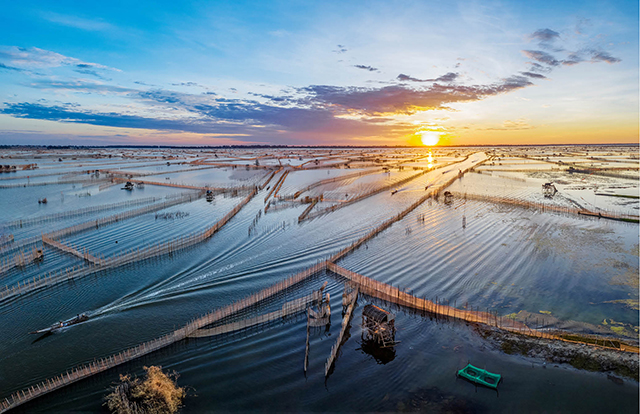 LUYỆN TẬP, VẬN DỤNG