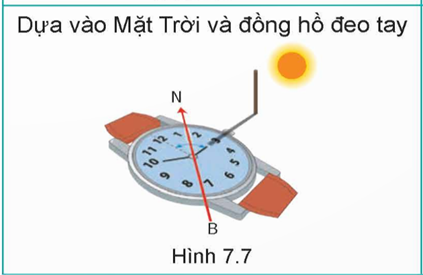 MỞ ĐẦUTrong một lần đi dã ngoại cùng bạn bè, do mải mê ngắm cảnh, Hà đã lạc các bạn trong đoàn từ lâu mà không biết, lúc này trời cũng sắp tối.Theo em, Hà nên làm gì trong trường hợp này?Giải chi tiết:Theo em, trong trường hợp này, Hà cần bình tĩnh, xác định hướng mặt trời lặn để tìm ra được hướng của đoàn đi dã ngoại.  I. TÌM PHƯƠNG HƯỚNGCâu hỏi: Quan sát hình 7.6, 7.7 và thực hành xác định phương hướng dựa vào Mặt Trời. Giải chi tiết:Hình 7.6. Dựa vào Mặt Trời và đồng hồ đeo tayDùng một que nhỏ (cỡ cây tăm) cắm vuông góc với mặt đất, que sẽ cho một cái bóng. Đặt đồng hồ sao cho bóng của que trùng lên kim chỉ giờ. Đường phân giác của góc hợp bởi kim chỉ giờ và số 12 sẽ cho hướng nam (N), như vậy hướng đối diện là hướng bắc (B).Hình 7.7. Dựa vào Mặt Trời và gậyCắm một cây gậy thẳng, vuông góc xuống mặt đất, đỉnh bóng ban đầu của gậy đánh dấu là T. Đợi khoảng 15 phút sau, bóng gậy sẽ khác đi. Đỉnh bóng của gậy lúc này sẽ đặt là Đ. Nối T với Đ được đoạn thẳng TĐ. Bên T là hướng tây, bên Đ là hướng đông. Câu hỏi: Dựa vào hình 7.9, em hãy sử dụng những viên sỏi để xếp hình (hoặc vẽ ra giấy) chòm sao Đại Hùng tinh và Tiểu Hùng tinh.Giải chi tiết:- Đại Hùng tinh giống như một cái muôi to có cán, gồm 7 ngôi sao sáng (hai ngôi dưới cùng gọi là sao A và sao C). Kẻ một đường thẳng tưởng tượng qua 2 ngôi sao A và C, khoảng cách gấp 5 lần AC sang phải là sao Bắc Cực.- Tiểu Hùng tinh gồm có 7 ngôi sao, trong đó sao Bắc Cực ở phía dưới cùng (đây là ngôi sao to và rõ nhất trong Tiểu Hùng tinh).  Câu hỏi: Em hãy nêu một số cách xác định phương hướng dựa vào đặc điểm thực vật và tập tính của một số động vật.Giải chi tiết:- Dựa vào đặc điểm thực vật + Dựa vào mật độ rêu mọc: Ở các tảng đá độc lập và các công trình xây dựng lâu năm, rêu thường mọc ở hướng bắc nhiều hơn các hướng khác.+ Dựa vào sự phát triển của cây độc lập: Ở cây độc lập, tán lá ở hướng nam thường xanh tốt và phát triển nhanh hơn các hướng khác. Vỏ cây ở hướng bắc thường xù xì và nhiều rêu hơn các hướng khác. Ở những gốc cây bị cưa, vòng tròn lõi cây (vòng tuổi của cây) ở hướng nam rộng hơn hướng bắc.+ Măng tre, mầm chuối thường mọc ở hướng đông nhiều và to hơn các hướng khác. Hoa hướng dương thường quay về hướng đông.- Dựa vào tập tính của một số động vậtMột số loài chim thường bay cao và thành từng đàn về hướng nam vào mùa lạnh, về hướng bắc vào mùa nóng. Một số loài chim, kiến thường xây tổ có cửa quay về hướng nam, phần thành dày của tổ quay về hướng bắc.- Dựa vào sông lớn ở Việt NamCác sông lớn ở khu vực miền Bắc thường bắt nguồn từ hướng tây bắc, chảy về hướng đông nam ra biển. Ở miền Trung, các sông lớn thường bắt nguồn từ hướng tây, chảy về hướng đông ra biển, còn ở khu vực miền nam, các sông lớn thường bắt nguồn từ hướng tây bắc chảy về hướng đông nam ra biển. II. GIỮ PHƯƠNG HƯỚNGCâu hỏi: Làm sao để giữ phương hướng trong quá trình di chuyển? Em cần làm gì khi bị lạc hướng?Giải chi tiết:* Cách giữ phương hướng- Trước khi di chuyển+ Trước khi di chuyển cần phải nắm chắc điểm định đến, cự li, đường và hướng đi từng chặng (nếu phải đi nhiều chặng); đặc điểm, vật chuẩn trên đường đi.+ Chuẩn bị đầy đủ, tỉ mỉ mọi thứ cần phương hướng được thuận lợi. thiết (địa bàn, bản đồ,...) để xác định và giữ- Quá trình di chuyển+ Thường xuyên xác định và nắm chắc phương hướng, địa hình, vật chuẩn, những nơi phát ra ánh sáng, tiếng động để xác định đường, hướng di chuyển chính xác.+ Dựa vào các vật chuẩn dễ nhìn thấy (đỉnh núi, cây độc lập,...) và hướng chuẩn để đi đúng hướng; ghi nhớ hoặc đánh dấu những vị trí, hướng đã đi qua, nhất là ở những nơi dễ bị lạc.+ Nếu có nhiều người cùng đi, cần phải bám sát người đi trước hoặc theo dõi đường đi, dấu vết, vật đánh dấu chỉ đường của người đi trước để đi theo.+ Nếu ở trong rừng, hãy xác định một đường thẳng tưởng tượng xuyên qua một số vật chuẩn dễ nhận thấy (gốc cây, tảng đá,...) để đi tới từng điểm chuẩn. Trường hợp sương mù, ban đêm không nhìn thấy vật chuẩn cần dùng địa bàn (nếu có) chiếu hướng đi từng chặng nhỏ; cúi thấp người để dễ quan sát các vật chuẩn.+ Khi gặp vật cản (ao, hồ, đầm lầy, khu công nghiệp,...) cần căn cứ vào tình hình để vòng vượt hoặc rẽ góc vuông, rẽ theo hình tam giác cân kết hợp tính cự li (đếm bước chân,...) để vượt qua vật cản. * Cách xử lí khi bị lạc hướng- Bình tĩnh và xác định lại chính xác vị trí bắt đầu lạc hướng, nhớ lại đặc điểm địa hình, địa vật nơi đã đi qua.- Có thể quay lại vị trí bắt đầu bị lạc rồi xác định lại hướng đi hoặc xác định hướng đi tại điểm bị lạc để đi tắt đến đường cũ hay đi thẳng đến nơi cần đến.- Nếu lạc ở trong rừng, cần xác định phương hướng bằng Mặt Trời, hướng gió, sự phát triển của cây độc lập,... và có thể đi theo đường mòn, dòng suối,... để ra khỏi khu vực bị lạc. Ban đêm có thể dựa vào Mặt Trăng và sao hoặc nơi phát ra ánh sáng, tiếng động để xác định phương hướng. LUYỆN TẬPCâu 1. Có những cách xác định phương hướng nào dựa vào Mặt Trời? Em hãy hướng dẫn mọi người thực hiện một trong những cách xác định phương hướng dựa vào Mặt Trời đó.Giải chi tiết:- Dựa vào Mặt Trời và đồng hồ đeo tayDùng một que nhỏ (cỡ cây tăm) cắm vuông góc với mặt đất, que sẽ cho một cái bóng. Đặt đồng hồ sao cho bóng của que trùng lên kim chỉ giờ. Đường phân giác của góc hợp bởi kim chỉ giờ và số 12 sẽ cho hướng nam (N), như vậy hướng đối diện là hướng bắc (B).- Dựa vào Mặt Trời và gậyCắm một cây gậy thẳng, vuông góc xuống mặt đất, đỉnh bóng ban đầu của gậy đánh dấu là T. Đợi khoảng 15 phút sau, bóng gậy sẽ khác đi. Đỉnh bóng của gậy lúc này sẽ đặt là Đ. Nối T với Đ được đoạn thẳng TĐ. Bên T là hướng tây, bên Đ là hướng đông. Câu 2. Buổi tối (khi có sao), em hãy quan sát lên bầu trời và xác định sao Bắc Cực.Giải chi tiết:- Sao Bắc Cực nằm ở gần chính hướng bắc, có vị trí tương đối ổn định, sáng và rõ. Lấy sao Bắc Cực làm chuẩn, kéo một đường thẳng xuống đường chân trời là hướng bắc.- Muốn tìm sao Bắc Cực, trước tiên cần phải tìm chòm sao Đại Hùng tinh (gấu lớn) và chòm sao Tiểu Hùng tinh (gấu nhỏ).Câu 3. Em hãy thực hành xác định phương hướng dựa vào các yếu tố tự nhiên (đặc điểm thực vật, tập tính của một số động vật,...) có ở xung quanh mình.Giải chi tiết:+ Dựa vào mật độ rêu mọc: Ở các tảng đá độc lập và các công trình xây dựng lâu năm, rêu thường mọc ở hướng bắc nhiều hơn các hướng khác.+ Dựa vào sự phát triển của cây độc lập: Ở cây độc lập, tán lá ở hướng nam thường xanh tốt và phát triển nhanh hơn các hướng khác. Vỏ cây ở hướng bắc thường xù xì và nhiều rêu hơn các hướng khác. Ở những gốc cây bị cưa, vòng tròn lõi cây (vòng tuổi của cây) ở hướng nam rộng hơn hướng bắc.+ Măng tre, mầm chuối thường mọc ở hướng đông nhiều và to hơn các hướng khác. Hoa hướng dương thường quay về hướng đông. VẬN DỤNG