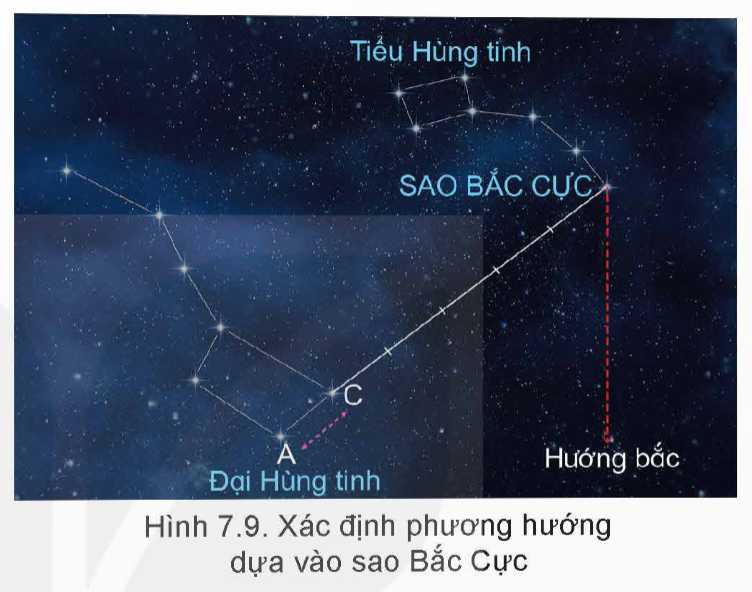 MỞ ĐẦUTrong một lần đi dã ngoại cùng bạn bè, do mải mê ngắm cảnh, Hà đã lạc các bạn trong đoàn từ lâu mà không biết, lúc này trời cũng sắp tối.Theo em, Hà nên làm gì trong trường hợp này?Giải chi tiết:Theo em, trong trường hợp này, Hà cần bình tĩnh, xác định hướng mặt trời lặn để tìm ra được hướng của đoàn đi dã ngoại.  I. TÌM PHƯƠNG HƯỚNGCâu hỏi: Quan sát hình 7.6, 7.7 và thực hành xác định phương hướng dựa vào Mặt Trời. Giải chi tiết:Hình 7.6. Dựa vào Mặt Trời và đồng hồ đeo tayDùng một que nhỏ (cỡ cây tăm) cắm vuông góc với mặt đất, que sẽ cho một cái bóng. Đặt đồng hồ sao cho bóng của que trùng lên kim chỉ giờ. Đường phân giác của góc hợp bởi kim chỉ giờ và số 12 sẽ cho hướng nam (N), như vậy hướng đối diện là hướng bắc (B).Hình 7.7. Dựa vào Mặt Trời và gậyCắm một cây gậy thẳng, vuông góc xuống mặt đất, đỉnh bóng ban đầu của gậy đánh dấu là T. Đợi khoảng 15 phút sau, bóng gậy sẽ khác đi. Đỉnh bóng của gậy lúc này sẽ đặt là Đ. Nối T với Đ được đoạn thẳng TĐ. Bên T là hướng tây, bên Đ là hướng đông. Câu hỏi: Dựa vào hình 7.9, em hãy sử dụng những viên sỏi để xếp hình (hoặc vẽ ra giấy) chòm sao Đại Hùng tinh và Tiểu Hùng tinh.Giải chi tiết:- Đại Hùng tinh giống như một cái muôi to có cán, gồm 7 ngôi sao sáng (hai ngôi dưới cùng gọi là sao A và sao C). Kẻ một đường thẳng tưởng tượng qua 2 ngôi sao A và C, khoảng cách gấp 5 lần AC sang phải là sao Bắc Cực.- Tiểu Hùng tinh gồm có 7 ngôi sao, trong đó sao Bắc Cực ở phía dưới cùng (đây là ngôi sao to và rõ nhất trong Tiểu Hùng tinh).  Câu hỏi: Em hãy nêu một số cách xác định phương hướng dựa vào đặc điểm thực vật và tập tính của một số động vật.Giải chi tiết:- Dựa vào đặc điểm thực vật + Dựa vào mật độ rêu mọc: Ở các tảng đá độc lập và các công trình xây dựng lâu năm, rêu thường mọc ở hướng bắc nhiều hơn các hướng khác.+ Dựa vào sự phát triển của cây độc lập: Ở cây độc lập, tán lá ở hướng nam thường xanh tốt và phát triển nhanh hơn các hướng khác. Vỏ cây ở hướng bắc thường xù xì và nhiều rêu hơn các hướng khác. Ở những gốc cây bị cưa, vòng tròn lõi cây (vòng tuổi của cây) ở hướng nam rộng hơn hướng bắc.+ Măng tre, mầm chuối thường mọc ở hướng đông nhiều và to hơn các hướng khác. Hoa hướng dương thường quay về hướng đông.- Dựa vào tập tính của một số động vậtMột số loài chim thường bay cao và thành từng đàn về hướng nam vào mùa lạnh, về hướng bắc vào mùa nóng. Một số loài chim, kiến thường xây tổ có cửa quay về hướng nam, phần thành dày của tổ quay về hướng bắc.- Dựa vào sông lớn ở Việt NamCác sông lớn ở khu vực miền Bắc thường bắt nguồn từ hướng tây bắc, chảy về hướng đông nam ra biển. Ở miền Trung, các sông lớn thường bắt nguồn từ hướng tây, chảy về hướng đông ra biển, còn ở khu vực miền nam, các sông lớn thường bắt nguồn từ hướng tây bắc chảy về hướng đông nam ra biển. II. GIỮ PHƯƠNG HƯỚNGCâu hỏi: Làm sao để giữ phương hướng trong quá trình di chuyển? Em cần làm gì khi bị lạc hướng?Giải chi tiết:* Cách giữ phương hướng- Trước khi di chuyển+ Trước khi di chuyển cần phải nắm chắc điểm định đến, cự li, đường và hướng đi từng chặng (nếu phải đi nhiều chặng); đặc điểm, vật chuẩn trên đường đi.+ Chuẩn bị đầy đủ, tỉ mỉ mọi thứ cần phương hướng được thuận lợi. thiết (địa bàn, bản đồ,...) để xác định và giữ- Quá trình di chuyển+ Thường xuyên xác định và nắm chắc phương hướng, địa hình, vật chuẩn, những nơi phát ra ánh sáng, tiếng động để xác định đường, hướng di chuyển chính xác.+ Dựa vào các vật chuẩn dễ nhìn thấy (đỉnh núi, cây độc lập,...) và hướng chuẩn để đi đúng hướng; ghi nhớ hoặc đánh dấu những vị trí, hướng đã đi qua, nhất là ở những nơi dễ bị lạc.+ Nếu có nhiều người cùng đi, cần phải bám sát người đi trước hoặc theo dõi đường đi, dấu vết, vật đánh dấu chỉ đường của người đi trước để đi theo.+ Nếu ở trong rừng, hãy xác định một đường thẳng tưởng tượng xuyên qua một số vật chuẩn dễ nhận thấy (gốc cây, tảng đá,...) để đi tới từng điểm chuẩn. Trường hợp sương mù, ban đêm không nhìn thấy vật chuẩn cần dùng địa bàn (nếu có) chiếu hướng đi từng chặng nhỏ; cúi thấp người để dễ quan sát các vật chuẩn.+ Khi gặp vật cản (ao, hồ, đầm lầy, khu công nghiệp,...) cần căn cứ vào tình hình để vòng vượt hoặc rẽ góc vuông, rẽ theo hình tam giác cân kết hợp tính cự li (đếm bước chân,...) để vượt qua vật cản. * Cách xử lí khi bị lạc hướng- Bình tĩnh và xác định lại chính xác vị trí bắt đầu lạc hướng, nhớ lại đặc điểm địa hình, địa vật nơi đã đi qua.- Có thể quay lại vị trí bắt đầu bị lạc rồi xác định lại hướng đi hoặc xác định hướng đi tại điểm bị lạc để đi tắt đến đường cũ hay đi thẳng đến nơi cần đến.- Nếu lạc ở trong rừng, cần xác định phương hướng bằng Mặt Trời, hướng gió, sự phát triển của cây độc lập,... và có thể đi theo đường mòn, dòng suối,... để ra khỏi khu vực bị lạc. Ban đêm có thể dựa vào Mặt Trăng và sao hoặc nơi phát ra ánh sáng, tiếng động để xác định phương hướng. LUYỆN TẬPCâu 1. Có những cách xác định phương hướng nào dựa vào Mặt Trời? Em hãy hướng dẫn mọi người thực hiện một trong những cách xác định phương hướng dựa vào Mặt Trời đó.Giải chi tiết:- Dựa vào Mặt Trời và đồng hồ đeo tayDùng một que nhỏ (cỡ cây tăm) cắm vuông góc với mặt đất, que sẽ cho một cái bóng. Đặt đồng hồ sao cho bóng của que trùng lên kim chỉ giờ. Đường phân giác của góc hợp bởi kim chỉ giờ và số 12 sẽ cho hướng nam (N), như vậy hướng đối diện là hướng bắc (B).- Dựa vào Mặt Trời và gậyCắm một cây gậy thẳng, vuông góc xuống mặt đất, đỉnh bóng ban đầu của gậy đánh dấu là T. Đợi khoảng 15 phút sau, bóng gậy sẽ khác đi. Đỉnh bóng của gậy lúc này sẽ đặt là Đ. Nối T với Đ được đoạn thẳng TĐ. Bên T là hướng tây, bên Đ là hướng đông. Câu 2. Buổi tối (khi có sao), em hãy quan sát lên bầu trời và xác định sao Bắc Cực.Giải chi tiết:- Sao Bắc Cực nằm ở gần chính hướng bắc, có vị trí tương đối ổn định, sáng và rõ. Lấy sao Bắc Cực làm chuẩn, kéo một đường thẳng xuống đường chân trời là hướng bắc.- Muốn tìm sao Bắc Cực, trước tiên cần phải tìm chòm sao Đại Hùng tinh (gấu lớn) và chòm sao Tiểu Hùng tinh (gấu nhỏ).Câu 3. Em hãy thực hành xác định phương hướng dựa vào các yếu tố tự nhiên (đặc điểm thực vật, tập tính của một số động vật,...) có ở xung quanh mình.Giải chi tiết:+ Dựa vào mật độ rêu mọc: Ở các tảng đá độc lập và các công trình xây dựng lâu năm, rêu thường mọc ở hướng bắc nhiều hơn các hướng khác.+ Dựa vào sự phát triển của cây độc lập: Ở cây độc lập, tán lá ở hướng nam thường xanh tốt và phát triển nhanh hơn các hướng khác. Vỏ cây ở hướng bắc thường xù xì và nhiều rêu hơn các hướng khác. Ở những gốc cây bị cưa, vòng tròn lõi cây (vòng tuổi của cây) ở hướng nam rộng hơn hướng bắc.+ Măng tre, mầm chuối thường mọc ở hướng đông nhiều và to hơn các hướng khác. Hoa hướng dương thường quay về hướng đông. VẬN DỤNG