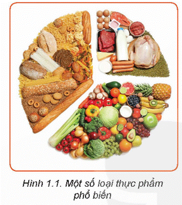 KHỞI ĐỘNG Các loại thực phẩm trong Hình 1.1 được chia thành các nhóm chất dinh dưỡng khác nhau. Đó là những nhóm gì và đóng vai trò như thế nào đối với cơ thể người?Giải chi tiết:1. Đạm (protein): - Là thành phần cấu trúc chính của tế bào và mô trong cơ thể, bao gồm cả tế bào cơ, tế bào da, tế bào máu và các enzyme. - Cần thiết cho quá trình tạo ra và duy trì các cơ bắp, mô sừng, tóc và móng. - Tham gia vào quá trình tái tạo và sửa chữa các mô và tế bào hư tổn. - Cung cấp năng lượng cho cơ thể khi cần thiết.2. Tinh bột (carbohydrate): - Là nguồn năng lượng chính cho cơ thể. Sau khi tiêu hóa, tinh bột được chuyển hóa thành đường glucose để cung cấp năng lượng cho các hoạt động của cơ thể. - Cung cấp năng lượng cho não và hệ thần kinh hoạt động. - Làm đầy bụng và giữ cảm giác no lâu hơn, giúp kiểm soát cân nặng.3. Chất xơ: - Giúp duy trì hệ tiêu hóa lành mạnh bằng cách tăng cường sự di chuyển của thức ăn trong ruột và kích thích sự tiêu hóa. - Giảm nguy cơ táo bón bằng cách tăng cường khả năng hấp thụ nước trong đại tràng. - Giúp kiểm soát đường huyết bằng cách chậm hấp thụ đường và giảm nguy cơ tiểu đường type 2. - Có thể giúp giảm cân bằng cách làm giảm cảm giác đói và kiểm soát lượng thức ăn tiêu thụ. I. CÁC CHẤT SINH NĂNG LƯỢNGCâu hỏi: Đọc nội dung mục I.1 và quan sát Hình 1.2, kết hợp với hiểu biết cá nhân, hãy kể tên một số loại thực phẩm giàu protein và phân tích vai trò của protein đối với cơ thể người.- Một số vai trò chính của protein đối với cơ thể người:+ Tạo hình: là vai trò quan trọng nhất của protein, giúp xây dựng và tái tạo tất cả các mô của cơ thể.+ Tham gia vận chuyển chất dinh dưỡng: phần lớn các chất vận chuyển dinh dưỡng là protein, khi thiếu protein thì việc hấp thụ, vận chuyển một số chất dinh dưỡng bị ảnh hưởng, dẫn đến cơ thể bị thiếu chất dù trong khẩu phần ăn thực tế không thiếu các chất dinh dưỡng đó.+ Điều hoà hoạt động của cơ thể: protein là thành phần cầu tạo chính của hormone, enzyme,... có chức năng điều hoà chuyển hoá, cân bằng nội môi.+ Cung cấp năng lượng: giúp cơ thể sinh trưởng và phát triển.Giải chi tiết:- Một số loại thực phẩm giàu protein: thịt gia cầm, thịt bò, thịt lợn, cá, hải sản, sữa, đậu, óc chó, hạnh nhân,... Câu hỏi: Tại sao trong khẩu phần ăn cần có sự kết hợp nhiều loại thực phẩm. kết hợp giữa thực phẩm có nguồn gốc động vật và thực vật?Giải chi tiết:Việc kết hợp nhiều loại thực phẩm, bao gồm cả thực phẩm từ nguồn gốc động vật và thực vật, giúp cung cấp đầy đủ các dạng protein, axit amin, vitamin, khoáng chất và chất xơ cho cơ thể, đồng thời giúp duy trì sự cân đối dinh dưỡng và tăng khả năng hấp thụ chất dinh dưỡng. Câu hỏi: 1. Quan sát Hình 1.3, kết hợp với hiểu biết cá nhân, hãy kể tên và phân loại một số thực phẩm cung cấp chất béo cho cơ thể người.2. Quan sát Hình 1.4 dưới đây, hãy nêu tên một số loại quả và hạt có thể dùng để sản xuất dầu ăn. Ở nhà em thường sử dụng loại dầu ăn nào?Giải chi tiết:1. Dưới đây là một số thực phẩm cung cấp chất béo cho cơ thể người, được phân loại theo nguồn gốc: Chất béo từ nguồn động vật:- Dầu và mỡ động vật như dầu ăn, mỡ lợn, mỡ bò.- Thịt và sản phẩm từ thịt như thịt bò, thịt heo, thịt gia cầm, đặc biệt là các phần có mỡ như da gà, da lợn.- Sữa và sản phẩm từ sữa như sữa bò, sữa chua, kem.Chất béo từ nguồn thực vật:- Dầu thực vật như dầu oliu, dầu hạt lúa mạch, dầu hạt cải, dầu hạt hướng dương.- Hạt và hạt quả như hạt hướng dương, hạt bí, hạt chia, hạt hạnh nhân, hạt óc chó.- Các loại quả bơ, dừa, hạnh nhân, hạt bơ. 2. Một số loại quả và hạt có thể dùng để sản xuất dầu ăn: đậu nành, ô-liu, hướng dương, đậu phộng, gạo lứt,... Câu hỏi: Đọc nội dung mục I.3, hãy kể tên các loại thực phẩm giàu carbohydrate và phân tích vai trò của carbohydrate đối với cơ thể người.Giải chi tiết:- Các loại thực phẩm giàu carbohydrate: ngũ cốc, khoai tây, đậu nành, trái cây,...- Một số vai trò chính của carbohydrate đối với cơ thể người:+ Cung cấp năng lượng: là vai trò quan trọng nhất, 1 g carbohydrate cung cấpkhoảng 4 Kcal năng lượng.+ Tạo hình: tham gia cấu tạo tế bào và các mô của cơ thể.+ Điều hoà hoạt động của cơ thể: tham gia chuyển hoá lipid, giữ ổn định hằng số nội môi.+ Cung cấp chất xơ cho cơ thể. II. VITAMIN, CHẤT KHOÁNG, CHẤT XƠ, NƯỚCCâu hỏi: Phân tích Bảng 1.1, hãy kể tên một số loại vitamin thiết yếu và chobiết, mỗi loại thực phẩm ở Hình 1.6 cung cấp vitamin nào.Giải chi tiết:- Một số loại vitamin thiết yếu: Vitamin A, B, C, D.a) Ổi cung cấp vitamin C.b) Trứng cung cấp vitamin D, B2 và B12.c) Giá đậu cung cấp vitamin a, B, C và E.d) Các loại đậu cung cấp vitamin B.e) Rau dền cung cấp vitamin C và E.g) Gan heo cung cấp vitamin A, B và D. Câu hỏi: Đọc nội dung mục II.2, phân tích Bảng 1.2 và kết hợp với hiểu biết cá nhân, hãy kể tên một số chất khoáng thiết yếu, các thực phẩm cung cấp, vai trò và nhu cầu của cơ thể người với các chất khoáng này.Giải chi tiết: Chất khoángCác thực phẩm cung cấp chất khoáng Vai tròNhu cầuSắt- Các loại thịt đỏ, sữa,...- Rau lá màu xanh đậm.- Tham gia vào quá trình tạo máu, là thành phần của enzyme hoặc xúc tác cho phản ứng sinh hóa trong cơ thể.- Thiếu sắt có thể dẫn đến thiếu máu.- Nam khoảng 10 mg/ngày.- Nữ: khoảng 15 mg/ngày.Lưu ý: Phụ nữ có thai, cho con bú, trong thời kì kinh nguyệt nhu cầu tăng gấp đôi so với bình thường.Kẽm- Tôm, cua, nhuyễn thể, sò,...- Gan, thịt động vật bốn chân và trứng,...- Kẽm có vai trò tăng trưởng và tăng cường hệ miễn dịch, đồng thời phát triển hệ thống thần kinh trung ương.- Thiếu kẽm có thể dẫn đến sự phát triển cơ thể và hệ thống thần kinh trung ương.- Nam: khoảng 15 mg/ngày.- Nữ: khoảng 12 mg/ngày.Iodine- Muối có chứa iodine,...- Các loại thịt, hải sản, lòng đỏ trứng, rau cải,..- Iodine là thành phần quan trọng của hormone tuyến giáp.- Thiếu iodine có thể dẫn đến bệnh bướu cổ.Khoảng 150 µg/ngày.Calcium- Sữa, phô mai, sữa chua,...- Hải sản, rau xanh, hạt đậu,...- Calcium là thành phần cấu tạo của xương và răng, làm cho xương và răng chắc khỏe.- Thiếu calcium có thể dẫn đến còi xương ở trẻ em và loãng xương ở người lớn.- Khoảng 500 mg/ngày.Natri- Muối, các loại gia vị,...- Hải sản, phô mai,...- Natri là chất điện giải giúp điều hòa đường huyết, hỗ trợ hoạt động của cơ bắp, bộ não, tim mạch,...- Thừa natri có thể dẫn đến bệnh tăng huyết áp.<2g natri/ngày (khoảng <5g muối/ngày) Câu hỏi: Đọc nội dung mục II.3, hãy kể tên các thực phẩm cung cấp chất xơ và vai trò của chất xơ đối với cơ thể người.Giải chi tiết:- Các thực phẩm cung cấp chất xơ: Chất xơ có nhiều trong các loại trái cây, rau, hạt và ngũ cốc.- Một số vai trò chính của chất xơ đối với cơ thể người:+ Đảm bảo hoạt động bình thường của bộ máy tiêu hoá: chất xơ giúp làm mềm phân; định hình, giúp khối phân lớn hơn và nhanh chóng di chuyển trong đườngtiêu hoá, giúp cơ thể thải được các chất cặn bã ra ngoài dễ dàng hơn.+ Hấp phụ những chất có hại trong đường tiêu hoá: giúp làm giảm nguy cơ mắc các bệnh mạch vành, đột quỵ, tăng huyết áp, đái tháo đường, béo phì và một số bệnh đường ruột.+ Làm khối lượng thức ăn lớn hơn, do đó tạo cảm giác no, giúp cải thiện việc tiêu thụ quá nhiều chất sinh năng lượng, thường ứng dụng trong việc giảm cơn đói với người thừa cân, béo phì. Câu hỏi: Đọc nội dung mục II.4, dựa vào nhu cầu nước của cơ thể người, hãy tính lượng nước em cần uống trong một ngày.Giải chi tiết:Nước chiếm khoảng 74% trọng lượng cơ thế của trẻ sơ sinh, từ 55% đến 60% trọng lượng cơ thể người trưởng thành nam giới và khoảng 50%) nữ giới.Em hãy dựa vào chiều cao và cân nặng của cơ thể để tính lượng nước phù hợp. LUYỆN TẬP1. Kể tên các loại thực phẩm em thường sử dụng trong một ngày. Cho biết thành phần dinh dưỡng trong các loại thực phẩm đó.2. Chọn đáp án đúng cho các câu hỏi sau:- Chất dinh dưỡng nào chiếm tỉ lệ cung cấp năng lượng cao nhất cho cơ thể con người?A. Protein. B. Lipid. C. Carbohydrate. D. Vitamin.- Vitamin C có nhiều nhất trong loại thực phẩm nào sau đây?A. Quả ổi. B. Rau cải. C. Cá. D. Gạo.Giải chi tiết:1. Tùy thuộc vào khẩu phần cụ thể và thói quen ăn uống của mỗi người, có thể có sự biến đổi trong các loại thực phẩm được sử dụng hàng ngày. Tuy nhiên, việc đảm bảo cân đối các nhóm dinh dưỡng chính như carbohydrate, protein, chất béo, vitamin và khoáng chất là rất quan trọng để duy trì sức khỏe và cân nặng. Gợi ý:a) Bữa sáng: - Bánh mì: cung cấp carbohydrate từ tinh bột. - Trứng: cung cấp protein và chất béo. - Sữa: cung cấp protein, canxi và các dạng chất béo. - Quả: cung cấp vitamin, khoáng chất và chất xơ.b) Bữa trưa: - Cơm: cung cấp carbohydrate từ tinh bột. - Thịt gà hoặc thịt bò: cung cấp protein và chất béo. - Rau xanh: cung cấp chất xơ, vitamin và khoáng chất. - Dầu ăn: cung cấp chất béo.c) Bữa tối: - Cơm hoặc mì: cung cấp carbohydrate. - Cá hoặc thịt heo: cung cấp protein và chất béo. - Rau cải: cung cấp chất xơ và vitamin. - Dầu ăn: cung cấp chất béo. 2. - Chất dinh dưỡng nào chiếm tỉ lệ cung cấp năng lượng cao nhất cho cơ thể con người? - C. Carbohydrate.- Vitamin C có nhiều nhất trong loại thực phẩm nào sau đây? - A. Quả ổi. VẬN DỤNGTìm hiểu vai trò của các chất dinh dưỡng có trong thực phẩm và xây dựng một chế độ ăn hợp lí cho bản thân.Giải chi tiết:- Dưới đây là một số chất dinh dưỡng quan trọng và vai trò của chúng:1. Carbohydrate: Cung cấp năng lượng cho cơ thể và là nguồn năng lượng chính cho hoạt động hàng ngày.2. Protein: Xây dựng và sửa chữa cơ bắp, tạo ra các hormone và enzyme cần thiết cho cơ thể, và hỗ trợ quá trình miễn dịch.3. Chất béo: Cung cấp năng lượng dự trữ, hỗ trợ hấp thụ vitamin, và đóng vai trò quan trọng trong việc duy trì sự hoạt động của não và hệ thần kinh.4. Vitamin và khoáng chất: Đóng vai trò trong nhiều quá trình sinh hóa trong cơ thể, bao gồm hỗ trợ hệ miễn dịch, chức năng thần kinh, và sức khỏe của da, tóc và móng.5. Chất xơ: Hỗ trợ tiêu hóa, giảm nguy cơ mắc bệnh tim mạch và bệnh đường ruột, và giữ cho cảm giác no lâu hơn. Khi xây dựng một chế độ ăn hợp lí cho bản thân, bạn nên:- Đa dạng hóa khẩu phần ăn uống để đảm bảo cung cấp đủ các loại chất dinh dưỡng.- Tăng cường tiêu thụ thực phẩm giàu chất xơ, như rau củ, hoa quả, ngũ cốc nguyên hạt.- Hạn chế tiêu thụ đường và chất béo bão hòa, và chọn lựa các loại chất béo không no và chất béo không bão hòa.- Uống đủ nước mỗi ngày để duy trì sự cân bằng nước trong cơ thể.- Tuân thủ khẩu phần ăn uống cân đối và phù hợp với nhu cầu dinh dưỡng của bản thân, cũng như tình trạng sức khỏe và hoạt động hàng ngày. KẾT NỐI NGHỀ NGHIỆPDinh dưỡng viên là tên gọi dành cho những người làm công việc tư vấn, chăm sóc dinh dưỡng và an toàn vệ sinh thực phẩm trong cộng đồng hoặc trong bệnh viện. Công việc của dinh dưỡng viên bao gồm: xây dựng chế độ dinh dưỡng, thực đơn; hướng dẫn cách lựa chọn thực phẩm và các công tác liên quan đến an toàn vệ sinh thực phẩm. Dinh dưỡng viên có thể làm việc tại các bệnh viện, viện dinh dưỡng, các trường đại học hoặc các cơ quan có ngành dinh dưỡng. Dựa vào thông tin trên, hãy tìm hiểu rồi cho biết sự phù hợp của bản thân mình với ngành nghề này và nêu lí do.Giải chi tiết:Sự phù hợp với ngành nghề dinh dưỡng viên phụ thuộc vào sự quan tâm đến dinh dưỡng và sức khỏe, kỹ năng giao tiếp, kiến thức về dinh dưỡng và thực phẩm, cũng như mong muốn giúp đỡ người khác. Nếu bạn cảm thấy mình phù hợp với những yếu tố này và có mong muốn làm việc trong lĩnh vực dinh dưỡng, đó có thể là một lựa chọn tốt cho bạn. KẾT NỐI NĂNG LỰC