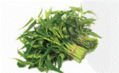 ÔN TẬP CHƯƠNG I