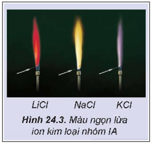 MỞ ĐẦUCác kim loại nhóm IA (nhóm kim loại kiềm) và hợp chất của chúng có nhiều ứng dụng như: sản xuất pin lithium, nước Javel, phân kali, tế bào quang điện, đồng hồ nguyên tử,…Vậy, đơn chất nhóm IA có đặc điểm gì nổi bật về tính chất vật lí và tính chất hóa học? Các hợp chất nhóm IA quan trọng như xút, soda được sản xuất trong công nghiệp như thế nào?Giải chi tiết:Tính chất vật lí: kim loại nhóm IA mềm, khối lượng riêng nhỏ, nhiệt độ nóng chảy và nhiệt độ sôi thấp.Tính chất hoá học: kim loại nhóm IA có tính khử mạnh. Mức độ phản ứng với nước, chlorine và oxygen tăng dần trong dãy lithium, sodium, potassium.Điều chế:- Xút: được điều chế thông qua quá trình điện phân dung dịch NaCl. PTHH: 2NaCl + 2H2O → 2NaOH + Cl2 + H2- Soda: được sản xuất bằng phương pháp Solvay từ nguyên liệu chính là đá vôi, muối ăn, ammonia và nước. Phương pháp này gồm 2 giai đoạn chính:+ Giai đoạn tạo NaHCO3: NaCl + NH3 + CO2 + H2O NaHCO3 + NH4Cl+ Khi làm lạnh, NaHCO3 kết tinh và được chọn lọc, tách khỏi hệ phản ứng.+ Giai đoạn tạo Na2CO3: 2NaHCO3 Na2CO3 + CO2 + H2O I. ĐƠN CHẤT NHÓM IAHoạt động nghiên cứu: Một số đại lượng đặc trưng của các nguyên tố nhóm IA được trình bày trong Bảng 24.1.Thực hiện các yêu cầu sau:1. Nhận xét về xu hướng biến đổi bán kính nguyên tử của nguyên tố nhóm IA.2. Cho biết xu hướng biến đổi tính khử từ Li đến Cs, số oxi hóa đặc trưng của nguyên tử kim loại nhóm IA.Giải chi tiết:1. Bán kính nguyên tử tăng dần từ Li đến Cs.2. Vì thế điện cực chuẩn tăng dần từ Li đến Cs nên tính khử từ Li đến Cs giảm dần. Do cấu hình electron của các nguyên tố đều có 1 electron ở lớp ngoài cùng nên số oxi hoá đặc trưng của nguyên tử kim loại nhóm IA là +1. Câu hỏi 1: Tại sao các nguyên tố kim loại nhóm IA không tồn tại ở dạng đơn chất trong tự nhiên?Giải chi tiết:Các nguyên tố kim loại nhóm IA không tồn tại ở dạng đơn chất trong tự nhiên vì đây là những kim loại hoạt động rất mạnh. Khi ở ngoài môi trường không khí, các kim loại này dễ dàng tác dụng với xung quanh tạo thành hợp chất. Hoạt động nghiên cứu: Một số thông số vật lí của kim loại nhóm IA được trình bày ở Bảng 24.2.Thực hiện các yêu cầu sau:1. Nhận xét về xu hướng biến đổi nhiệt độ nóng chảy, nhiệt độ sôi của các kim loại nhóm IA.2. Dựa vào Bảng 24.2, hãy nhận xét về khối lượng riêng và độ cứng của các kim loại nhóm IA.Giải chi tiết:1. Nhiệt độ nóng chảy, nhiệt độ sôi của các kim loại nhóm IA giảm dần từ Li đến Cs.2. – Khối lượng riêng của các kim loại nhóm IA tăng dần từ Li đến Cs- Độ cứng của các kim loại nhóm IA giảm dần từ Li đến Cs. Hoạt động nghiên cứu: Lithium, sodium, potassium tác dụng với nước, chlorine, oxygenBa thí nghiệm về phản ứng của lithium, sodium, potassium với nước, chlorine, oxygen đã được thực hiện và quan sát thấy các hiện tượng như được mô tả dưới đây:Hóa chất: kim loại lithium, sodium, potassium, nước.Dụng cụ: 3 bình tam giác đựng khí oxygen, 3 bình tam giác đựng khí chlorine, 3 chậu thủy tinh, muôi sắt, dao, kẹp sắt.Thí nghiệm 1: Tác dụng với nướcTiến hành:Cho mỗi mẩu kim loại vào một chậu thủy tinh chứa nước, hiện tượng xảy ra được ghi lại ở Bảng 24.3.Thực hiện các yêu cầu sau:1. So sánh mức độ phản ứng của Li, Na, K với nước.2. Viết phương trình hóa học của các phản ứng xảy ra. Nêu cách nhận biết môi trường của các dung dịch sau phản ứng.Thí nghiệm 2: Tác dụng với chlorineTiến hành:Cho mỗi mẩu kim loại Li, Na, K vào một muôi sắt, hơ nóng trên ngọn lửa đèn cồn đến khi nóng chảy, rồi đưa nhanh vào bình đựng khí chlorine.Hiện tượng xảy ra như sau: Các kim loại bốc cháy với mức độ tăng dần từ Li đến K.Thực hiện yêu cầu sau:Viết phương trình hóa học của các phản ứng xảy ra.Thí nghiệm 3: Tác dụng với oxygenTiến hành:Cho mỗi mẩu kim loại Li, Na, K vào một muôi sắt, hơ nóng trên ngọn lửa đèn cồn đến khi nóng chảy rồi đưa nhanh vào bình đựng khí oxygen.Hiện tượng xảy ra như sau: Các kim loại bốc cháy với mức độ tăng dần từ Li đến K.Thực hiện yêu cầu sau:Viết phương trình hóa học của các phản ứng xảy ra.Giải chi tiết:Thí nghiệm 1: Tác dụng với nước.1. Mức độ phản ứng với nước của các kim loại tăng dần từ Li đến K.2. PTHH:2Li + 2H2O → 2LiOH + H22Na + 2H2O → 2NaOH + H22K + 2H2O → 2KOH + H2Để nhận biết môi trường của các dung dịch sau phản ứng (LiOH, NaOH, KOH) ta cần dùng phenolphthalein để nhận biết vì khi cho phenolphthalein thì dung dịch các chất sẽ chuyển sang màu hồng, chứng tỏ đó là môi trường kiềm.Thí nghiệm 2: Tác dụng với chlorinePTHH: 2Li + Cl2 2LiCl 2Na + Cl2 2NaCl 2K + Cl2 2KCl Thí nghiệm 3: Tác dụng với oxygenPTHH:4Li + O2 2Li2O4Na + O2 2Na2O4K + O2 2K2O Câu hỏi 2: Trong phòng thí nghiệm:a) Khi cho kim loại nhóm IA (Li, Na, K) tác dụng với nước thì cần lấy mẩu kim loại nhỏ. Giải thích.b) Sodium được dùng để loại nước khỏi một số dung môi hữu cơ như ether. Giải thích.Giải chi tiết:a) Khi cho kim loại nhóm IA (Li, Na, K) tác dụng với nước thì cần lấy mẩu kim loại nhỏ vì các kim loại nhóm IA đều là kim loại mạnh trong dãy hoạt động điện hoá và khi diện tích mẩu kim loại nhỏ sẽ làm tăng diện tích tiếp xúc giữa kim loại với nước, từ đó làm tăng tốc độ của phản ứng. Vậy dùng mẩu kim loại để tăng diện tích tiếp xúc với nước và tăng hiệu suất của phản ứng.b) Sodium được dùng để loại nước khỏi một số dung môi hữu cơ như ether vì sự hiện diện của nước trong các dung môi hữu cơ này sẽ làm suy giảm hiệu suất phản ứng, do đó khi cho sodium (kim loại có tính khử mạnh) vào thì sodium sẽ tác dụng với nước, loại bỏ nước từ dung môi. Phương trình hoá học xảy ra là:2Na + 2H2O → 2NaOH + H2 Câu hỏi 3: a) Tại sao có thể bảo quản Na, K bằng cách ngâm trong dầu hỏa?b) Có thể sử dụng các alcohol (ví dụ ethanol) để bảo quản kim loại nhóm IA không? Giải thích.Giải chi tiết:a) Có thể bảo quản Na, K bằng cách ngâm trong dầu hoả vì nếu để Na, K ngoài không khí thì trong không khí ẩm có cả H2O và O2 và cả Na lẫn K đều tác dụng được. Vậy nên khi cho Na, K ngâm trong dầu hoả để không cho hơi nước, O2 tác dụng với Na, K.b) Không thể sử dụng các alcohol (ví dụ ethanol) để bảo quản kim loại nhóm IA vì các alcohol có nhóm -OH trong phân tử, khi phản ứng thì nguyên tử H trong nhóm -OH bị thay thế bởi kim loại nhóm IA và tạo thành khí H2. II. HỢP CHẤT CỦA KIM LOẠI NHÓM IA