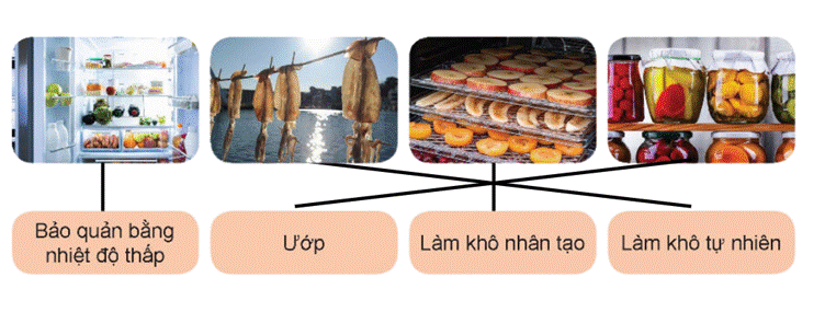 ÔN TẬP CHƯƠNG I
