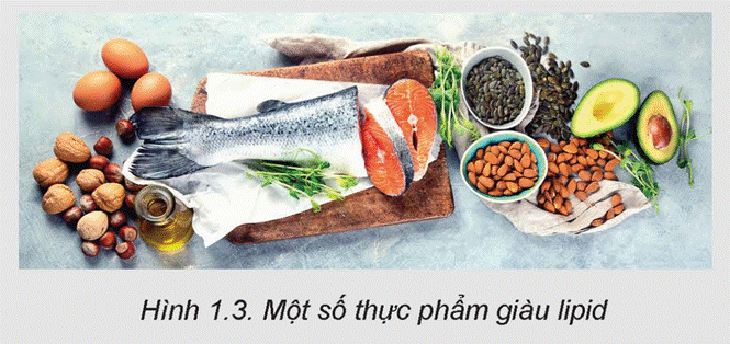 KHỞI ĐỘNG Các loại thực phẩm trong Hình 1.1 được chia thành các nhóm chất dinh dưỡng khác nhau. Đó là những nhóm gì và đóng vai trò như thế nào đối với cơ thể người?Giải chi tiết:1. Đạm (protein): - Là thành phần cấu trúc chính của tế bào và mô trong cơ thể, bao gồm cả tế bào cơ, tế bào da, tế bào máu và các enzyme. - Cần thiết cho quá trình tạo ra và duy trì các cơ bắp, mô sừng, tóc và móng. - Tham gia vào quá trình tái tạo và sửa chữa các mô và tế bào hư tổn. - Cung cấp năng lượng cho cơ thể khi cần thiết.2. Tinh bột (carbohydrate): - Là nguồn năng lượng chính cho cơ thể. Sau khi tiêu hóa, tinh bột được chuyển hóa thành đường glucose để cung cấp năng lượng cho các hoạt động của cơ thể. - Cung cấp năng lượng cho não và hệ thần kinh hoạt động. - Làm đầy bụng và giữ cảm giác no lâu hơn, giúp kiểm soát cân nặng.3. Chất xơ: - Giúp duy trì hệ tiêu hóa lành mạnh bằng cách tăng cường sự di chuyển của thức ăn trong ruột và kích thích sự tiêu hóa. - Giảm nguy cơ táo bón bằng cách tăng cường khả năng hấp thụ nước trong đại tràng. - Giúp kiểm soát đường huyết bằng cách chậm hấp thụ đường và giảm nguy cơ tiểu đường type 2. - Có thể giúp giảm cân bằng cách làm giảm cảm giác đói và kiểm soát lượng thức ăn tiêu thụ. I. CÁC CHẤT SINH NĂNG LƯỢNGCâu hỏi: Đọc nội dung mục I.1 và quan sát Hình 1.2, kết hợp với hiểu biết cá nhân, hãy kể tên một số loại thực phẩm giàu protein và phân tích vai trò của protein đối với cơ thể người.- Một số vai trò chính của protein đối với cơ thể người:+ Tạo hình: là vai trò quan trọng nhất của protein, giúp xây dựng và tái tạo tất cả các mô của cơ thể.+ Tham gia vận chuyển chất dinh dưỡng: phần lớn các chất vận chuyển dinh dưỡng là protein, khi thiếu protein thì việc hấp thụ, vận chuyển một số chất dinh dưỡng bị ảnh hưởng, dẫn đến cơ thể bị thiếu chất dù trong khẩu phần ăn thực tế không thiếu các chất dinh dưỡng đó.+ Điều hoà hoạt động của cơ thể: protein là thành phần cầu tạo chính của hormone, enzyme,... có chức năng điều hoà chuyển hoá, cân bằng nội môi.+ Cung cấp năng lượng: giúp cơ thể sinh trưởng và phát triển.Giải chi tiết:- Một số loại thực phẩm giàu protein: thịt gia cầm, thịt bò, thịt lợn, cá, hải sản, sữa, đậu, óc chó, hạnh nhân,... Câu hỏi: Tại sao trong khẩu phần ăn cần có sự kết hợp nhiều loại thực phẩm. kết hợp giữa thực phẩm có nguồn gốc động vật và thực vật?Giải chi tiết:Việc kết hợp nhiều loại thực phẩm, bao gồm cả thực phẩm từ nguồn gốc động vật và thực vật, giúp cung cấp đầy đủ các dạng protein, axit amin, vitamin, khoáng chất và chất xơ cho cơ thể, đồng thời giúp duy trì sự cân đối dinh dưỡng và tăng khả năng hấp thụ chất dinh dưỡng. Câu hỏi: 1. Quan sát Hình 1.3, kết hợp với hiểu biết cá nhân, hãy kể tên và phân loại một số thực phẩm cung cấp chất béo cho cơ thể người.2. Quan sát Hình 1.4 dưới đây, hãy nêu tên một số loại quả và hạt có thể dùng để sản xuất dầu ăn. Ở nhà em thường sử dụng loại dầu ăn nào?Giải chi tiết:1. Dưới đây là một số thực phẩm cung cấp chất béo cho cơ thể người, được phân loại theo nguồn gốc: Chất béo từ nguồn động vật:- Dầu và mỡ động vật như dầu ăn, mỡ lợn, mỡ bò.- Thịt và sản phẩm từ thịt như thịt bò, thịt heo, thịt gia cầm, đặc biệt là các phần có mỡ như da gà, da lợn.- Sữa và sản phẩm từ sữa như sữa bò, sữa chua, kem.Chất béo từ nguồn thực vật:- Dầu thực vật như dầu oliu, dầu hạt lúa mạch, dầu hạt cải, dầu hạt hướng dương.- Hạt và hạt quả như hạt hướng dương, hạt bí, hạt chia, hạt hạnh nhân, hạt óc chó.- Các loại quả bơ, dừa, hạnh nhân, hạt bơ. 2. Một số loại quả và hạt có thể dùng để sản xuất dầu ăn: đậu nành, ô-liu, hướng dương, đậu phộng, gạo lứt,... Câu hỏi: Đọc nội dung mục I.3, hãy kể tên các loại thực phẩm giàu carbohydrate và phân tích vai trò của carbohydrate đối với cơ thể người.Giải chi tiết:- Các loại thực phẩm giàu carbohydrate: ngũ cốc, khoai tây, đậu nành, trái cây,...- Một số vai trò chính của carbohydrate đối với cơ thể người:+ Cung cấp năng lượng: là vai trò quan trọng nhất, 1 g carbohydrate cung cấpkhoảng 4 Kcal năng lượng.+ Tạo hình: tham gia cấu tạo tế bào và các mô của cơ thể.+ Điều hoà hoạt động của cơ thể: tham gia chuyển hoá lipid, giữ ổn định hằng số nội môi.+ Cung cấp chất xơ cho cơ thể. II. VITAMIN, CHẤT KHOÁNG, CHẤT XƠ, NƯỚCCâu hỏi: Phân tích Bảng 1.1, hãy kể tên một số loại vitamin thiết yếu và chobiết, mỗi loại thực phẩm ở Hình 1.6 cung cấp vitamin nào.Giải chi tiết:- Một số loại vitamin thiết yếu: Vitamin A, B, C, D.a) Ổi cung cấp vitamin C.b) Trứng cung cấp vitamin D, B2 và B12.c) Giá đậu cung cấp vitamin a, B, C và E.d) Các loại đậu cung cấp vitamin B.e) Rau dền cung cấp vitamin C và E.g) Gan heo cung cấp vitamin A, B và D. Câu hỏi: Đọc nội dung mục II.2, phân tích Bảng 1.2 và kết hợp với hiểu biết cá nhân, hãy kể tên một số chất khoáng thiết yếu, các thực phẩm cung cấp, vai trò và nhu cầu của cơ thể người với các chất khoáng này.Giải chi tiết: Chất khoángCác thực phẩm cung cấp chất khoáng Vai tròNhu cầuSắt- Các loại thịt đỏ, sữa,...- Rau lá màu xanh đậm.- Tham gia vào quá trình tạo máu, là thành phần của enzyme hoặc xúc tác cho phản ứng sinh hóa trong cơ thể.- Thiếu sắt có thể dẫn đến thiếu máu.- Nam khoảng 10 mg/ngày.- Nữ: khoảng 15 mg/ngày.Lưu ý: Phụ nữ có thai, cho con bú, trong thời kì kinh nguyệt nhu cầu tăng gấp đôi so với bình thường.Kẽm- Tôm, cua, nhuyễn thể, sò,...- Gan, thịt động vật bốn chân và trứng,...- Kẽm có vai trò tăng trưởng và tăng cường hệ miễn dịch, đồng thời phát triển hệ thống thần kinh trung ương.- Thiếu kẽm có thể dẫn đến sự phát triển cơ thể và hệ thống thần kinh trung ương.- Nam: khoảng 15 mg/ngày.- Nữ: khoảng 12 mg/ngày.Iodine- Muối có chứa iodine,...- Các loại thịt, hải sản, lòng đỏ trứng, rau cải,..- Iodine là thành phần quan trọng của hormone tuyến giáp.- Thiếu iodine có thể dẫn đến bệnh bướu cổ.Khoảng 150 µg/ngày.Calcium- Sữa, phô mai, sữa chua,...- Hải sản, rau xanh, hạt đậu,...- Calcium là thành phần cấu tạo của xương và răng, làm cho xương và răng chắc khỏe.- Thiếu calcium có thể dẫn đến còi xương ở trẻ em và loãng xương ở người lớn.- Khoảng 500 mg/ngày.Natri- Muối, các loại gia vị,...- Hải sản, phô mai,...- Natri là chất điện giải giúp điều hòa đường huyết, hỗ trợ hoạt động của cơ bắp, bộ não, tim mạch,...- Thừa natri có thể dẫn đến bệnh tăng huyết áp.<2g natri/ngày (khoảng <5g muối/ngày) Câu hỏi: Đọc nội dung mục II.3, hãy kể tên các thực phẩm cung cấp chất xơ và vai trò của chất xơ đối với cơ thể người.Giải chi tiết:- Các thực phẩm cung cấp chất xơ: Chất xơ có nhiều trong các loại trái cây, rau, hạt và ngũ cốc.- Một số vai trò chính của chất xơ đối với cơ thể người:+ Đảm bảo hoạt động bình thường của bộ máy tiêu hoá: chất xơ giúp làm mềm phân; định hình, giúp khối phân lớn hơn và nhanh chóng di chuyển trong đườngtiêu hoá, giúp cơ thể thải được các chất cặn bã ra ngoài dễ dàng hơn.+ Hấp phụ những chất có hại trong đường tiêu hoá: giúp làm giảm nguy cơ mắc các bệnh mạch vành, đột quỵ, tăng huyết áp, đái tháo đường, béo phì và một số bệnh đường ruột.+ Làm khối lượng thức ăn lớn hơn, do đó tạo cảm giác no, giúp cải thiện việc tiêu thụ quá nhiều chất sinh năng lượng, thường ứng dụng trong việc giảm cơn đói với người thừa cân, béo phì. Câu hỏi: Đọc nội dung mục II.4, dựa vào nhu cầu nước của cơ thể người, hãy tính lượng nước em cần uống trong một ngày.Giải chi tiết:Nước chiếm khoảng 74% trọng lượng cơ thế của trẻ sơ sinh, từ 55% đến 60% trọng lượng cơ thể người trưởng thành nam giới và khoảng 50%) nữ giới.Em hãy dựa vào chiều cao và cân nặng của cơ thể để tính lượng nước phù hợp. LUYỆN TẬP1. Kể tên các loại thực phẩm em thường sử dụng trong một ngày. Cho biết thành phần dinh dưỡng trong các loại thực phẩm đó.2. Chọn đáp án đúng cho các câu hỏi sau:- Chất dinh dưỡng nào chiếm tỉ lệ cung cấp năng lượng cao nhất cho cơ thể con người?A. Protein. B. Lipid. C. Carbohydrate. D. Vitamin.- Vitamin C có nhiều nhất trong loại thực phẩm nào sau đây?A. Quả ổi. B. Rau cải. C. Cá. D. Gạo.Giải chi tiết:1. Tùy thuộc vào khẩu phần cụ thể và thói quen ăn uống của mỗi người, có thể có sự biến đổi trong các loại thực phẩm được sử dụng hàng ngày. Tuy nhiên, việc đảm bảo cân đối các nhóm dinh dưỡng chính như carbohydrate, protein, chất béo, vitamin và khoáng chất là rất quan trọng để duy trì sức khỏe và cân nặng. Gợi ý:a) Bữa sáng: - Bánh mì: cung cấp carbohydrate từ tinh bột. - Trứng: cung cấp protein và chất béo. - Sữa: cung cấp protein, canxi và các dạng chất béo. - Quả: cung cấp vitamin, khoáng chất và chất xơ.b) Bữa trưa: - Cơm: cung cấp carbohydrate từ tinh bột. - Thịt gà hoặc thịt bò: cung cấp protein và chất béo. - Rau xanh: cung cấp chất xơ, vitamin và khoáng chất. - Dầu ăn: cung cấp chất béo.c) Bữa tối: - Cơm hoặc mì: cung cấp carbohydrate. - Cá hoặc thịt heo: cung cấp protein và chất béo. - Rau cải: cung cấp chất xơ và vitamin. - Dầu ăn: cung cấp chất béo. 2. - Chất dinh dưỡng nào chiếm tỉ lệ cung cấp năng lượng cao nhất cho cơ thể con người? - C. Carbohydrate.- Vitamin C có nhiều nhất trong loại thực phẩm nào sau đây? - A. Quả ổi. VẬN DỤNGTìm hiểu vai trò của các chất dinh dưỡng có trong thực phẩm và xây dựng một chế độ ăn hợp lí cho bản thân.Giải chi tiết:- Dưới đây là một số chất dinh dưỡng quan trọng và vai trò của chúng:1. Carbohydrate: Cung cấp năng lượng cho cơ thể và là nguồn năng lượng chính cho hoạt động hàng ngày.2. Protein: Xây dựng và sửa chữa cơ bắp, tạo ra các hormone và enzyme cần thiết cho cơ thể, và hỗ trợ quá trình miễn dịch.3. Chất béo: Cung cấp năng lượng dự trữ, hỗ trợ hấp thụ vitamin, và đóng vai trò quan trọng trong việc duy trì sự hoạt động của não và hệ thần kinh.4. Vitamin và khoáng chất: Đóng vai trò trong nhiều quá trình sinh hóa trong cơ thể, bao gồm hỗ trợ hệ miễn dịch, chức năng thần kinh, và sức khỏe của da, tóc và móng.5. Chất xơ: Hỗ trợ tiêu hóa, giảm nguy cơ mắc bệnh tim mạch và bệnh đường ruột, và giữ cho cảm giác no lâu hơn. Khi xây dựng một chế độ ăn hợp lí cho bản thân, bạn nên:- Đa dạng hóa khẩu phần ăn uống để đảm bảo cung cấp đủ các loại chất dinh dưỡng.- Tăng cường tiêu thụ thực phẩm giàu chất xơ, như rau củ, hoa quả, ngũ cốc nguyên hạt.- Hạn chế tiêu thụ đường và chất béo bão hòa, và chọn lựa các loại chất béo không no và chất béo không bão hòa.- Uống đủ nước mỗi ngày để duy trì sự cân bằng nước trong cơ thể.- Tuân thủ khẩu phần ăn uống cân đối và phù hợp với nhu cầu dinh dưỡng của bản thân, cũng như tình trạng sức khỏe và hoạt động hàng ngày. KẾT NỐI NGHỀ NGHIỆPDinh dưỡng viên là tên gọi dành cho những người làm công việc tư vấn, chăm sóc dinh dưỡng và an toàn vệ sinh thực phẩm trong cộng đồng hoặc trong bệnh viện. Công việc của dinh dưỡng viên bao gồm: xây dựng chế độ dinh dưỡng, thực đơn; hướng dẫn cách lựa chọn thực phẩm và các công tác liên quan đến an toàn vệ sinh thực phẩm. Dinh dưỡng viên có thể làm việc tại các bệnh viện, viện dinh dưỡng, các trường đại học hoặc các cơ quan có ngành dinh dưỡng. Dựa vào thông tin trên, hãy tìm hiểu rồi cho biết sự phù hợp của bản thân mình với ngành nghề này và nêu lí do.Giải chi tiết:Sự phù hợp với ngành nghề dinh dưỡng viên phụ thuộc vào sự quan tâm đến dinh dưỡng và sức khỏe, kỹ năng giao tiếp, kiến thức về dinh dưỡng và thực phẩm, cũng như mong muốn giúp đỡ người khác. Nếu bạn cảm thấy mình phù hợp với những yếu tố này và có mong muốn làm việc trong lĩnh vực dinh dưỡng, đó có thể là một lựa chọn tốt cho bạn. KẾT NỐI NĂNG LỰC