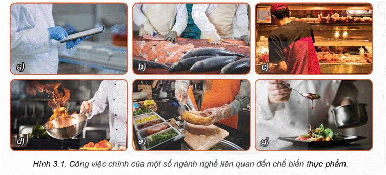 KHỞI ĐỘNG Hãy quan sát Hình 3.1 và cho biết, các công việc trong hình tương ứng với tên gọi nào sau đây: vận hành sản xuất tự động tại nhà máy thực phẩm; sơ chế, chế biến thực phẩm; chuẩn bị đồ ăn nhanh.Giải chi tiết:a) Vận hành sản xuất tự động tại nhà máy thực phẩm.b) Sơ chế.c) Chuẩn bị đồ ăn nhanh.d - e - g: Chế biến thực phẩm. I. GIỚI THIỆU CHUNG VỀ NGÀNH CHẾ BIẾN THỰC PHẨMCâu hỏi: Ngành chế biến thực phẩm là gì? Dựa vào nội dung mục I và hiểu biết cá nhân, hãy cho biết tiềm năng, cơ hội việc làm của ngành chế biến thực phẩm hiện nay và trong tương lai.Giải chi tiết:Ngành chế biến thực phẩm là ngành nghiên cứu về cách chế biến và bảo quản các loại thực phẩm, các loại nông sản; kiểm tra và đánh giá chất lượng nông phẩm trong quá trình chế biến; nghiên cứu cách chế biến sản phẩm từ thực phẩm; vận hành dây chuyền chế biến và bảo quản thực phẩm đạt tiêu chuẩn an toàn;... Việc làm trong ngành chế biến thực phẩm rất đa dạng vì tất cả những vấn đề có liên quan đến thực phẩm, đồ uống và an toàn vệ sinh thực phẩm đều có thể ứng dụng kiến thức của ngành này. II. MỘT SỐ NGÀNH NGHỀ LIÊN QUAN ĐẾN CHẾ BIẾN THỰC PHẨMCâu hỏi: 1. Có nhận định cho rằng, thợ chế biến thực phẩm là người nấu ăn. Theo em, nhận định đó đúng hay sai? Tại sao?2. Để thực hiện tốt công việc của mình, thợ chế biến thực phẩm phải chú trọng phát triển những năng lực và phẩm chất nào?Giải chi tiết:1. Nhận định này chưa hoàn toàn đúng vì thợ chế biến thực phẩm không chỉ là người nấu ăn mà còn là những người chịu trách nhiệm về việc chế biến và xử lý thực phẩm để đảm bảo sự an toàn, vệ sinh và chất lượng của sản phẩm thực phẩm. Công việc của họ có thể bao gồm chuẩn bị nguyên liệu, sơ chế, chế biến, bảo quản và thậm chí cả thiết kế các món ăn.2. Để thực hiện tốt công việc của mình, thợ chế biến thực phẩm phải có được kiến thức cơ bản về các loại thực phẩm; kĩ năng chế biến các loại thực phẩm như thịt, cá, thuỷ sản, thực phẩm đông lạnh,... hay các yêu cầu cụ thể trong an toàn vệ sinh thực phẩm,... Ngoài ra, mỗi sai sót trong quá trình chế biến hay bảo quản thực phẩm đều sẽ liên quan, ảnh hưởng trực tiếp đến sức khỏe người tiêu dùng nên đòi hỏi người thợ chế biến phải vô cùng tỉ mỉ, cần thận trong quá trình làm việc. Câu hỏi: Đọc nội dung mục II.2 và cho biết, vận hành máy sản xuất thực phẩm là gì. Nêu các năng lực và phẩm chất cần có của thợ vận hành máy sản xuất thực phẩm.Giải chi tiết:- Vận hành máy sản xuất thực phẩm là vận hành, giám sát máy móc được sử dụng đề kiềm chế, gây choáng, giết mổ động vật và đề cắt thịt, cá theo tiêu chuẩn; thiết lập, vận hành và giám sát máy móc và lò nướng đề trộn, nướng và chế biến bánh mì, sản phẩm bánh kẹo khác; vận hành máy móc nghiền, trộn, nấu và lên men ngũ cốc, trải cây để sản xuất bia và sản phẩm liên quan; vận hành thiết bị làm mứt, kẹo cứng,...; vận hành thiết bị đông lạnh, sấy khô, nướng, hun khói, tiệt trùng, cô đặc thực phẩm và chất lỏng để chế biến thức ăn; trộn, nghiền, tách thực phẩm và chất lỏng với các thiết bị khuấy, ép, sàng, lọc. Công việc của thợ vận hành máy sản xuất thực phẩm sẽ yêu cầu người lao động phải có sự tập trung, cẩn thận và tỉ mỉ trong quá trình làm việc. Ngoài ra, người lao động cần sử dụng được nhiều thiết bị, máy móc và có khả năng lên kế hoạch để sử dụng các thiết bị, máy móc mình phụ trách đạt hiệu quả tối đa. Câu hỏi: Có thể coi đầu bếp trưởng là người chỉ huy, chịu trách nhiệm toàn bộ khu bếp tại nơi làm việc của mình. Theo em, người đầu bếp trưởng cần có phẩm chất và hiểu biết những kiến thức gì để đáp ứng yêu cầu nghề nghiệp của mình?Giải chi tiết:Để đáp ứng yêu cầu nghề nghiệp của mình, người đầu bếp trưởng cần có các phẩm chất và hiểu biết sau:1. Kỹ năng lãnh đạo: Có khả năng chỉ huy và quản lý đội ngũ nhân viên trong khu bếp, phân công nhiệm vụ, giám sát hoạt động hàng ngày và đảm bảo sự hợp tác hiệu quả.2. Kiến thức về thực phẩm: Hiểu biết sâu sắc về các loại thực phẩm, nguyên liệu, kỹ thuật chế biến và kỹ năng nấu nướng để tạo ra các món ăn ngon, hấp dẫn.3. Kỹ năng quản lý thời gian và áp lực: Có khả năng quản lý thời gian và áp lực làm việc để đảm bảo các món ăn được chuẩn bị và phục vụ đúng thời gian và chất lượng.4. Tinh thần trách nhiệm và sự cẩn trọng: Luôn đặt chất lượng sản phẩm lên hàng đầu, tuân thủ các quy định về vệ sinh và an toàn thực phẩm để đảm bảo sức khỏe của khách hàng. Câu hỏi: Từ nội dung mục II.4, kết hợp với hiểu biết cá nhân, hãy nêu những đặc điểm nghề nghiệp của người chuẩn bị đồ ăn nhanh. Để thực hiện tốt công việc của mình, người chuẩn bị đồ ăn nhanh cần phát triển những năng lực và phẩm chất gì?Giải chi tiết:Công việc chính của người chuẩn bị đồ ăn nhanh là chuẩn bị món ăn, đề uống đơn giản hoặc chế biến sẵn như bánh mì kẹp, khoai tây chiên,...; rửa, thái, đong và trộn thực phẩm để nấu; sử dụng thiết bị nấu ăn như lò nướng, nồi chiên,...; hâm nóng lại thức ăn đã chuẩn bị trước; làm sạch khu vực chuẩn bị thực phẩm, khu vực và dụng cụ nấu ăn; nhận và phục vụ món ăn, đồ uống tại các địa điểm ăn uống chuyên phục vụ nhanh và thức ăn mang theo. Phẩm chất cần có của người chuẩn bị đồ ăn nhanh là yêu thích công việc nấu nướng, cẩn thận, kiên trì, tỉ mỉ trong công việc. LUYỆN TẬP1. Phân biệt công việc chính của thợ chế biến thực phẩm và thợ vận hành máy sản xuất thực phẩm.2. Phân tích những phẩm chất cần có của đầu bếp trưởng và của người chuẩn bị đồ ăn nhanh.Giải chi tiết:1.- Công việc chính của thợ chế biến thực phẩm có thể kể đến như giết mổ động vật; chuẩn bị, chế biến thịt, cá và các thực phẩm liên quan; làm các loại bánh mì, bánh ngọt và các sản phẩm bột mì; chế biến, bảo quản trái cây, rau, củ và thực phẩm liên quan; nếm và phân loại các sản phẩm là đồ ăn, đồ uống khác nhau.- Công việc chính của thợ vận hành máy sản xuất thực phẩm là vận hành, giám sát máy móc được sử dụng để kiềm chế, gây choáng, giết mổ động vật và để cắt thịt, cá theo tiêu chuẩn; thiết lập, vận hành và giám sát máy móc và lò nướng đề trộn, nướng và chế biến bánh mì, sản phẩm bánh kẹo khác; vận hành máy móc nghiền, trộn, nấu và lên men ngũ cốc, trải cây để sản xuất bia và sản phẩm liên quan; vận hành thiết bị làm mứt, kẹo cứng,...; vận hành thiết bị đông lạnh, sấy khô, nướng, hun khói, tiệt trùng, cô đặc thực phẩm và chất lỏng để chế biến thức ăn; trộn, nghiền, tách thực phẩm và chất lỏng với các thiết bị khuấy, ép, sàng, lọc. 2. Để đáp ứng yêu cầu nghề nghiệp của mình, người đầu bếp trưởng cần có các phẩm chất và hiểu biết sau:1. Kỹ năng lãnh đạo: Có khả năng chỉ huy và quản lý đội ngũ nhân viên trong khu bếp, phân công nhiệm vụ, giám sát hoạt động hàng ngày và đảm bảo sự hợp tác hiệu quả.2. Kiến thức về thực phẩm: Hiểu biết sâu sắc về các loại thực phẩm, nguyên liệu, kỹ thuật chế biến và kỹ năng nấu nướng để tạo ra các món ăn ngon, hấp dẫn.3. Kỹ năng quản lý thời gian và áp lực: Có khả năng quản lý thời gian và áp lực làm việc để đảm bảo các món ăn được chuẩn bị và phục vụ đúng thời gian và chất lượng.4. Tinh thần trách nhiệm và sự cẩn trọng: Luôn đặt chất lượng sản phẩm lên hàng đầu, tuân thủ các quy định về vệ sinh và an toàn thực phẩm để đảm bảo sức khỏe của khách hàng. Phẩm chất cần có của người chuẩn bị đồ ăn nhanh là:1. Yêu thích công việc nấu nướng: Sự đam mê và yêu thích công việc là yếu tố quan trọng giúp họ tự động nhiên làm việc mỗi ngày, cải thiện kỹ năng và đem lại sự sáng tạo trong các món ăn.2. Cẩn thận: Sự cẩn thận giúp họ chú ý đến từng chi tiết nhỏ trong quá trình chuẩn bị đồ ăn, đảm bảo chất lượng và an toàn thực phẩm.3. Kiên trì: Khả năng kiên trì là điều cần thiết để xử lý áp lực và giải quyết các vấn đề nảy sinh trong quá trình làm việc.4. Tỉ mỉ trong công việc: Sự tỉ mỉ giúp họ tập trung vào việc hoàn thiện mỗi món ăn một cách cẩn thận, từ việc chọn nguyên liệu đến cách trang trí và thời gian chế biến. VẬN DỤNGHãy tìm hiểu và cho biết, địa phương em phát triển những ngành nghề nào liên quan đến chế biến thực phẩm?Giải chi tiết:Em hãy quan sát ở địa phương của em, có các ngành nghề như chế biến đồ uống, chế biến thực phẩm từ các nguyên liệu nông sản đặc trưng, sản xuất mỹ phẩm tự nhiên từ thành phần thực phẩm, và phát triển các sản phẩm ẩm thực địa phương. KẾT NỐI NGHỀ NGHIỆPChế biến thực phẩm là ngành nghệ quan trọng, gắn liền với cuộc sống của con người. Vì vậy, các ngành nghề liên quan đến chế biến thực phẩm sẽ ngày càng phát triển. Hãy đánh giá khả năng và sở thích của bản thân đối với một số ngành nghề liên quan đến chế biến thực phẩm. Có thể đánh giá dựa trên các tiêu chí như Bảng 3.1.Giải chi tiết:Dựa trên khả năng và sở thích của bản thân, có thể đánh giá một số ngành nghề liên quan đến chế biến thực phẩm như:1. Ngành ẩm thực: Nếu bạn đam mê nấu nướng và sáng tạo trong việc chế biến các món ăn ngon, ngành ẩm thực có thể phù hợp với bạn. Đây là lĩnh vực đòi hỏi sự sáng tạo, kiên nhẫn và kỹ năng nấu ăn.2. Kĩ sư công nghệ thực phẩm: Nếu bạn quan tâm đến việc nghiên cứu và phát triển công nghệ trong chế biến thực phẩm, ngành kĩ sư công nghệ thực phẩm có thể là lựa chọn phù hợp. Đây là lĩnh vực đòi hỏi kiến thức vững về công nghệ thực phẩm, sự tỉ mỉ và kiên trì trong nghiên cứu.3. Thợ chế biến thực phẩm: Nếu bạn thích làm việc tại các bếp nhà hàng hoặc khách sạn, việc trở thành một thợ chế biến thực phẩm có thể là lựa chọn phù hợp. Đây là công việc đòi hỏi sự nhanh nhẹn, tỉ mỉ và khả năng làm việc nhóm tốt. KẾT NỐI NGHỀ NGHIỆP