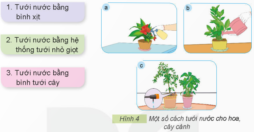 2. TƯỚI NƯỚC CHO HOA, CÂY CẢNHKhám phá: Quan sát Hình 3, cho biết cây đủ nước và cây thiếu nước khác nhau như thế nào?Giải chi tiết:Cây đủ nước: Lá cây xanh tốt, phát triển đều.Cây thiếu nước: Lá cây nhăn nheo, héo rũ và rụng dần. Khám phá: Em hãy sử dụng các thẻ dưới đây để gọi tên các cách tưới nước cho hoa, cây cảnh trong Hình 4 cho phù hợp.Giải chi tiết:Các cách tưới nước cho hoa, cây cảnh là:a. Tưới nước bằng bình xịt.b. Tưới nước bằng bình tưới cây.c. Tưới nước bằng hệ thống tưới nhỏ giọt. Thực hành: Hãy chia sẻ với bạn một số cách tưới nước cho hoa, cây cảnh mà em biết.Giải chi tiết:Một số cách tưới nước cho hoa, cây cảnh là:Tưới nước bằng bình xịt cầm tay.Tưới nước bằng vòi xịt lớn.Tưới nước bằng hệ thống tự động. 3. BÓN PHÂN CHO HOA, CÂY CẢNHKhám phá: Em hãy sử dụng các thẻ dưới đây để gọi tên cách bón phân cho hoa, cây cảnh tương ứng với mỗi ảnh trong Hình 5.Giải chi tiết:a. Pha với nước và tưới vào gốc cây.b. Pha với nước và phun lên lá cây.c. Bón đều xung quanh gốc cây. Ý tưởng sáng tạo: Thảo luận với bạn và cho biết vì sao phải bón phân cho hoa, cây cảnh?Giải chi tiết:Phải bón phân cho hoa, cây cảnh vì bón phân là một bước quan trọng trong kỹ thuật trồng cây và chăm sóc hoa cảnh, nếu được bón phân đúng cách, cây cảnh sẽ tươi, đẹp và ra hoa, ra lá nhiều hơn. Vận dụng: Em hãy chia sẻ với bạn cách bón phân cho một loại hoa, cây cảnh mà em biết.Giải chi tiết:Cách bón phân cho cây hoa hồng:Giai đoạn 1: Bón lót trước khi trồng cây conSử dụng các loại phân hữu cơ, ưu tiên phân xanh, phân rác, phân chuồng hoai mục.Giai đoạn 2: Bón thúc 15 - 20 sau khi xuống cây conSử dụng đạm ure, tạo rãnh, bón cách gốc 5 - 7cm hoặc hòa tan đạm vào nước rồi phun trực tiếp.Giai đoạn 3: Thời kỳ cây bắt đầu ra nụDùng phân vô cơ NPK có tỷ lệ kali cao hơn, không cần dùng kích rễ.Bón cách gốc cây 5 - 7cm, duy trì tưới nước.Giai đoạn 4: Lúc hoa gần tànBổ sung phân NPK có hàm lượng lân cao hơn.Giai đoạn 5: Sau khi hoa tànTiến hành cắt tỉa bỏ đi hoa tàn kích thích mầm mới phát triển.Bón phân giàu hàm lượng đạm, không dùng kèm kích rễ.