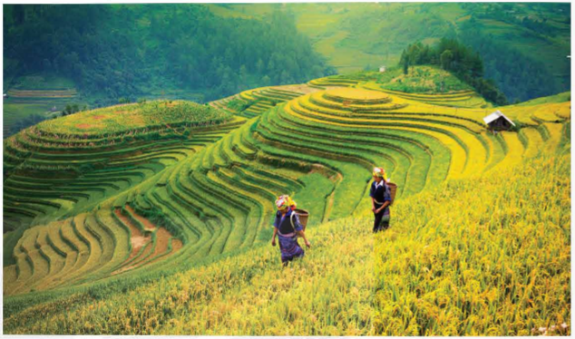 KHỞI ĐỘNGCâu hỏi:  Hãy nêu những hiểu biết của em về con người và hoạt động sản xuất ở vùng Trung du và miền núi Bắc Bộ. Giải chi tiết:- Đây là vùng có địa hình cao nhất cả nước, tập trung nhiều dân tộc ít người.Một số dân tộc như Mường, Thái, Dao, Mông, Tày,... Mỗi dân tộc có một tiếng nói, tập quán sinh hoạt và trang phục truyên thống riêng, tạo nên sự đa dạng về văn hóa của vùng.- Trung du Bắc Bộ có điều kiện thuận lợi phát triển cây ăn quả và cây công nghiệp. Vùng cũng nổi tiếng trồng lúa trên đất dốc, người dân khu vực miền núi đã xẻ sườn núi thành những bậc phẳng làm ruộng bậc thang.KHÁM PHÁ1. DÂN CƯCâu 1: Đọc thông tin và quan sát các hình 1, 2, em hãy kể tên một số dân tộc sinh sống ở vùng Trung du và miền núi Bắc Bộ.Giải chi tiết:- Một số dân tộc sinh sống ở vùng Trung du và miền núi Bắc Bộ: Mường, Tày, Nùng, Dao, Thái, Mông,..Câu 2: Đọc thông tin và quan sát hình 3, em hãy:- Cho biết những tin nào có mật độ dân số dưới 100 người/ km2.- Cho biết những tin nào có mật độ dân số trên 400 người/ km2.- Nhận xét về sự phân bố dân cư ở vùng Trung du và miền núi Bắc Bộ.Giải chi tiết:- Những nơi có mật độ dân thấp dưới 100 người/ km2 ở khu vực vùng núi, trung du và nông thôn.- Những nơi có mật độ dân cao trên 400 người/ km2 ở khu vực thành thị, nơi tập trung buôn bán đông đúc.- Sự phân bố dân cư khu vực không đồng đều. Cao ở vùng thành thị, khu nhiều chợ cơ sở hạ tầng phát triển và thấp ở các vùng điều kiện tự nhiên, kinh tế khó khăn.2. MỘT SỐ CÁCH THỨC KHAI THÁC TỰ NHIÊNa) Làm ruộng bậc thangCâu hỏi:Đọc thông tin và quan sát hình 4, em hãy cho biết vai trò của ruộng bậc thang đối với đời sống và sản xuất của người dân khu vực miền núi Bắc Bộ. Giải chi tiết:Vai trò của việc trồng ruộng bậc thang: Đảm bảo nguồn lương thực, hạn chế tình trang phá rừng làm nương, tạo vẻ đẹp thiên nhiên thu hút du khách đến.b) Xây dựng các công trình thủy điệnCâu hỏi: Đọc thông tin và quan sát các hình 5, 6 em hãy kể tên và xác định trên lược đồ một số nhà máy thủy điện ở vùng Trung du và miền núi Bắc Bộ.Giải chi tiết:Một số nhà máy ở Vùng trung du và miền núi Bắc Bộ: Thủy điện Sơn La, thủy điện Hòa Bình..c) Khai thác khoáng sảnCâu hỏi: Đọc thông tin và quan sát hình 6, em hãy:- Xác định trên lược đồ một số mỏ khoáng sản ở vùng Trung du và miền núi Bắc Bộ.- Kể tên một số sản phẩm có nguồn gốc từ khoáng sản của vùng Trung du và miền núi Bắc Bộ..Giải chi tiết:- Một số khoáng sản ở vùng Trung du và miền núi Bắc Bộ: Vàng, than, đồng, titan...- Một số sản phẩm có nguồn gốc từ khoáng sản của vùng Trung du và miền núi Bắc Bộ: Than cho sản xuất điện, đá vôi làm vật liệu xây dựng…LUYỆN TẬPCâu hỏi: Vẽ sơ đồ tư duy thể hiện một số cách thức khai thác tự nhiên ở vùng Trung du và miền núi Bắc bộ ( vai trò, phân bố)Giải chi tiết:VẬN DỤNG