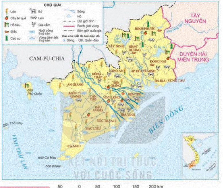 KHỞI ĐỘNGCâu hỏi: Vùng Nam Bộ có hoạt động sản xuất đa dạng. Dựa vào kiến thức đã học, em hãy cho biết vùng có thể phát triển các hoạt động sản xuất nào.Giải chi tiết:- Vùng Nam Bộ có thể phát triển các hoạt động sản xuất như:+ Nông nghiệp (trồng cây lương thực, hoa màu, cây ăn quả và cây công nghiệp).+ Đánh bắt và nuôi trồng thủy - hải sản.+ Sản xuất công nghiệp và phát triển các ngành dịch vụ (thương mại, du lịch,…).KHÁM PHÁ1. DÂN CƯCâu hỏi: Đọc thông tin, em hãy kể tên một số dân tộc ở vùng Nam Bộ.Giải chi tiết:Một số dân tộc: Kinh, Khơ me, Hoa, Chăm,..2. MỘT SỐ HOẠT ĐỘNG SẢN XUẤTa) Nông nghiệpCâu hỏi: Đọc thông tin và quan sát hình 1, em hãy kể tên và chỉ trên lược đồ một số cây trồng, vật nuôi chính ở vùng Nam Bộ.Giải chi tiết:Một số cây trồng chính như lúa, cây ăn quả( sầu riêng, xoài,..) cây công nghiệp ( cao su, hồ tiêu,..). Chăn nuôi chủ yếu là lơn, gà, vịt,… hoặc nuôi trồng tủy sản như tôm, cá.b) Công nghiệpCâu hỏi: Đọc thông tin và quan sát hình 4, em hãy kể tên và xác định sự phân bố của một số ngành công nghiệp chính ở vùng Nam Bộ.Giải chi tiết:Một số ngành công nghiệp chính: khai thác dầu khí, dệt may, hóa chất,..LUYỆN TẬPCâu hỏi: Quan sát các hình 1,4, hãy hoàn thành bảng sau vào vở:Giải chi tiết:Hoạt động sản xuấtPhân bốTrồng lúaCác tỉnh thuộc Đồng bằng sông Cửu LongTrồng cây ăn quảCác tỉnh thuộc Đồng bằng sông Cửu LongTrồng cây công nghiệpCác tỉnh Đông Nam BộKhai thác dầu khíVùng thềm lục địaDệt mayCác tỉnh thuộc Đồng bằng sông Cửu LongĐiện tử - tin họcCác tỉnh Đông Nam BộVẬN DỤNG