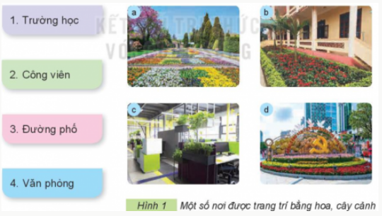 1. TRANG TRÍ CẢNH QUANKhám phá: Hãy quan sát Hình 1 và cho biết hoa, cây cảnh được trang trí ở những nơi nào bằng những cách sử dụng các thẻ gợi ý dưới đâyGiải chi tiết:Cây cảnh được trang trí ở những nơi như:Trường học.Công viên.Đường phố.Văn phòng. Thực hành: Hãy chia sẻ với bạn về những nơi được trang trí bằng hoa, cây cảnh mà em biết.Giải chi tiết:Những nơi được trang trí bằng hoa, cây cảnh mà em biết làTrung tâm thương mại.Nhà ở.Sân vườn. Ý tưởng sáng tạo: Hãy suy nghĩ và chia sẻ với các bạn ý tưởng dùng hoa, cây cảnh để trang trí trong căn phòng hoặc ngôi nhà em đang ở.Giải chi tiết:Đặt hoa vào chai hoặc lọ và treo chúng bằng dây trên tường.Trồng những bụi cây phỉ thúy trước hiên nhà.Sử dụng những loại cây cung cấp oxi để trong phòng ngủ. 2. LÀM SẠCH KHÔNG KHÍKhám phá: Em hãy sử dụng các thẻ dưới đây để gọi tên các loại hoa, cây cảnh có khả năng làm sạch không khí trong Hình 2.Giải chi tiết:Tên các loại hoa, cây cảnh có khả năng làm sạch không khí làCây kim tiền.Cây ngọc ngân.Cây nha đam.Cây lan ý.Cây lưỡi hổ.Cây vạn niên thanh. Thực hành: Kể thêm một số loại hoa, cây cảnh có khả năng làm sạch không khí mà em biết.Giải chi tiết:Một số loại hoa, cây cảnh có khả năng làm sạch không khí là:Hoa nhài.Cây dên nhện.Cây hương thảo.Cây thường xuân.Hoa oải hương.Cây trầu bà.Hoa đỗ quyên. Ý tưởng sáng tạo: Thảo luận với bạn và đề xuất ý tưởng trồng một loại hoa, cây cảnh có khả năng làm sạch không khí trong khuôn viên trường học của em.Giải chi tiết:Cây tòng lá đốm - Cây trồng bồn hoa trường học giúp thanh lọc không khíLá của loài cây này có màu sắc bắt mắt và sặc sỡ nên chúng rất được ưa chuộng làm cây cảnh quan trang trí. Với đặc điểm này chúng giúp tạo nên một không gian thêm tươi sáng và sống động.Cây cô tòng phát triển tốt nhất ở nơi thoáng mát đất có đủ độ ẩm. Cây được trồng nơi có nhiều ánh nắng hoặc bán phần thì sẽ càng xanh tốt. Ngoài ra theo như khoa học cây Cô tòng còn có khả năng đào thải và lọc được khí độc hại, làm sạch không khí xung quanh chúng. 3. CUNG CẤP OXYGEN (O2) CHO CON NGƯỜIKhám phá:Câu 1. Quan sát Hình 3 và tìm từ hoặc cụm từ thích hợp thay cho các số trong các câu:Hoạt động quang hợp của hoa, cây cảnh đã lấy khí (1) từ không khí và tạo ra khí (2).Hoạt động hô hấp (hít thở) của con người đã lấy khí (3) từ không khí và thải ra khí (4).Giải chi tiết: (1) carbon dioxie (CO2)  (2) oxygen (O2)(3) oxygen (O2)(4) carbon dioxie (CO2) Câu 2. Hình 3 thể hiện vai trò gì của hoa, cây cảnh đối với con người?Giải chi tiết:Vai trò của hoa, cây cảnh đối với con người là: Khi cây quang hợp sẽ lấy khí carbon dioxide (CO2) từ không khí và tạo ra oxygen cung cấp hoạt động hô hấp của con người. 4. THỂ HIỆN TÌNH CẢM