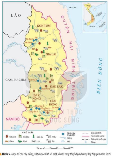 KHỞI ĐỘNGCâu hỏi: Dựa vào các hình 1, 2 em hãy cho biết một số hoạt động kinh tế chủ yếu ở vùng Tây Nguyên.Giải chi tiết: - Hoạt động chủ yếu ở vùng là trồng cây công nghiệp và vận hành nhà máy thủy điện.- Là vùng chuyên canh cây công nghiệp lớn.- Cây công nghiệp lâu năm phát triển khá nhanh với cây cà phê, cao su, chè, điều.→ Phát triển theo hướng sản xuất hàng hóa phục vụ xuất khẩu và cung cấp nguyên liệu cho công nghiệp chế biến.KHÁM PHÁ1. DÂN CƯCâu 1: Đọc thông tin và quan sát hình 3, em hãy kể tên một số dân tộc ở vùng Tây Nguyên.Giải chi tiết:Một số dân tộc : Ê đê, Ba Na, Mạ,..Câu 2: Đọc bảng thông tin, em hãy so sánh mật độ dân số của vùng Tây Nguyên với các vùng khác.Giải chi tiết:Vùng Tây Nguyên có mật độ dân số thấp nhất so với vùng khác. Người dân thường sống tập trung thành các buôn làng cùng nhau.2. MỘT SỐ HOẠT ĐỘNG KINH TẾ CHỦ YẾUa) Trồng cây công nghiệpCâu hỏi: Đọc thông tin và quan sát các hình 4, 5, em hãy:- Kể tên các loại cây công nghiệp được trồng nhiều ở vùng Tây Nguyên.- Xác định trên lược đồ những nơi trồng nhiều các loại cây đó.Giải chi tiết:- Các loại cây công nghiệp ở Tây Nguyên như: Cao su, cà phê, hồ tiêu, chè,..- Đắk Lắk trồng cao su, chè, hồ tiêu; Kon Tum trồng cà phê, cao su,..b) Chăn nuôi gia súcCâu hỏi: Đọc thông tin và quan sát hình 5, em hãy:- Xác định trên lược đồ những nơi nuôi nhiều trâu, bò và lợn ở vùng Tây Nguyên.- Giải thích vì sao trâu, bò được nuôi nhiều ở vùng Tây Nguyên.Giải chi tiết:- Trâu, bò được nuôi nhiều ở tỉnh Gia Lai và tỉnh Đắk Lắk. Lợn được nuôi nhiều ở Đắk Lắk.- Trâu, bồ được nuôi nhiều do có đồng cỏ tự nhiên và khí hậu thuận lợi.c) Phát triển thủy điệnCâu hỏi: Đọc thông tin và quan sát hình 5, em hãy:- Kể tên và chỉ trên lược đồ một số nhà máy thủy điện ở vùng Tây Nguyên.- Giải thích vì sao vùng Tây Nguyên có nhiều nhà máy thủy điện.Giải chi tiết:- Một số nhà máy thủy điện như: Sê San, Đồng Nai,..- Sông ngòi ở vùng chảy qua nhiều bậc địa hình có độ dốc lớn nên có khả năng phát triển thủy điện.LUYỆN TẬPCâu 1: Dựa vào bảng mật độ dân số các vùng ở nước ta năm 2020, hãy sắp xếp mật độ dân số các vùng theo thứ tự từ cao xuống thấp. Giải chi tiết:Sắp xếp mật độ dân số các vùng theo thứ tự từ cao xuống thấp: Đồng bằng Bắc Bộ => Nam Bộ => Duyên hải miền Trung => Trung du và miền núi Bắc Bộ => Tây Nguyên.Câu 2: Chọn ý ở cột A sao cho phù hợp với ý ở cột B và ghi kết quả vào vở.Giải chi tiết:1 - c2 - a3 - bVẬN DỤNG