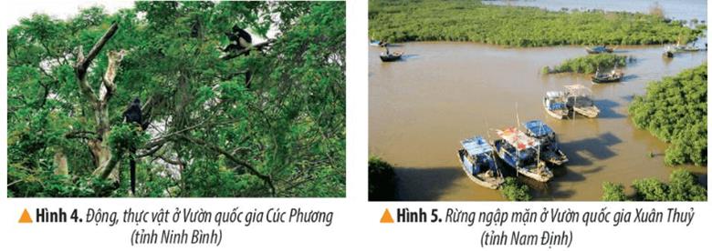 KHỞI ĐỘNGCâu hỏi: Hãy mô tả những điều em quan sát được về thiên nhiên vùng Đồng bằng Bắc Bộ qua hình 1. Giải chi tiết:- Trong hình là một đồng bằng rộng lớn với một con sông hai bên bờ là cánh đồng với những ngôi nhà được xây dựng bên cạnh dòng sông.- Những điều em quan sát được về thiên nhiên vùng Đồng bằng Bắc Bộ qua hình 1:+ Dòng sông Hồng cung cấp nước cho hoạt động sinh hoạt và sản xuất của cư dân; đồng thời bồi đắp phù sa cho các cánh đồng thêm màu mỡ, trù phú.+ Địa hình bằng phẳng; không có núi cao, vực sâu hiểm trở.+ Khí hậu thuận hòa, cây cối tốt tươi.+ Dân cư tập trung đông đúc.KHÁM PHÁ1. VỊ TRÍ ĐỊA LÝCâu hỏi: Đọc thông tin và quan sát hình 2, em hãy:- Xác định vị trí của vùng Đồng bằng Bắc Bộ trên lược đồ.- Kể tên những vùng tiếp giáp với vùng Đồng bằng Bắc Bộ. Giải chi tiết:- Vị trí của vùng Đồng bằng Bắc Bộ trên lược đồ: nằm phía Đông Bắc, nằm ở hạ lưu sông Hồng và sông Thái Bình.- Những vùng tiếp giáp với vùng Đồng bằng Bắc Bộ: phía Bắc giáp với Trung du và miền núi Bắc Bộ, phía Nam giáp với Duyên hải miền Trung2. ĐẶC ĐIỂM THIÊN NHIÊNa) Địa hìnhCâu hỏi: Đọc thông tin và quan sát hình 2, em hãy nêu đặc điểm địa hình của vùng Đồng bằng Bắc Bộ.Giải chi tiết:- Bằng phẳng, độ cao trung bình dưới 25m đồng bằng có dạng hình tam giác và tiếp tục mở rộng về phía biển, Đồng bằng có dạng hình tam giác .b) Khí hậuCâu hỏi: Đọc thông tin, em hãy cho biết:- Nhiệt độ và lượng mưa trung bình năm của vùng Đồng bằng Bắc Bộ.- Các mùa trong năm của vùng.Giải chi tiết:- Nhiệt độ trung bình năm trên 23 độC. Lượng mưa trung bình năm từ 1600 - 1800mm- Vùng Đồng bằng Bắc Bộ có khí hậu nhiệt đới gió mùa, với các mùa xuân, hạ, thu, đông.c) Sông ngòiCâu hỏi: Đọc thông tin và quan sát hình 2, em hãy kể tên và xác định trên lược đồ một số sông lớn ở vùng Đồng bằng Bắc Bộ.Giải chi tiết:- Một số sông lớn như: sông Hồng, sông Thái Bình,..d) Đất và sinh vậtCâu hỏi: Đọc thông tin và quan sát hình 4,5, em hãy:- Cho biết tên loại đất chính ở vùng Đồng bằng Bắc Bộ.- Nêu đặc điểm của sinh vật tự nhiên ở vùng Đồng bằng Bắc Bộ.Giải chi tiết:- Đất chính chủ yếu là đất phù xa màu mỡ, pử ven biển đất phèn, đất mặn ít màu mỡ hơn.- Sinh vật tự nhiên của vùng rất phong phú, chịu tác động mạnh mẽ bởi con người.3. MỘT SỐ THUẬN LỢI VÀ KHÓ KHĂN Ở VÙNG ĐỒNG BẰNG BẮC BỘCâu hỏi: Đọc thông tin, em hãy nêu những thuận lợi và khó khăn ở vùng Đồng bằng Bắc Bộ.Giải chi tiết:- Thuận lợi cho việc giao lưu, trao đổi hàng hóa với vùng khá, địa hình bằng phẳng thuận lợi cho giao thông, sinh hoạt, có hệ thống sông ngòi dày đặc cung cấp nước cho sinh hoạt và sản xuất, phát triển đường thủy.- Khó khăn là ảnh hưởng của mùa đông nhiệt độ vùng xuống thấp, ảnh hưởng đến sinh trưởng của cây trồng, vật nuôi, sức khỏe con người,vào mùa hạ mưa nhiều thường gây ngập lụt.4. BẢO VỆ THIÊN NHIÊN VÙNG VÙNG ĐỒNG BẰNG BẮC BỘCâu hỏi: Đọc thông tin và quan sát các hình 6,7, em hãy cho biết một số biện pháp để bảo vệ thiên nhiên ở vùng Đồng bằng Bắc Bộ.Giải chi tiết:Để bảo vệ thiên nhiên cần thực hiện nhiều biện pháp : sử dụng phân bón hữu cơ, xử lí nước thải, phân loại rác.…LUYỆN TẬPCâu hỏi: Hoàn thành bảng sau vào vở:Giải chi tiết:Yếu tố tự nhiênĐặc điểmẢnh hưởngĐịa hình- Tương đối bằng phẳng, độ cao trung bình dưới 25 m.- Địa hình có dạng hình tam giác và vẫn tiếp tục mở rộng về phía biển.- Thuận lợi cho giao thông, sinh hoạt và sản xuất của người dân.Khí hậu- Khí hậu nhiệt đới gió mùa, nhiệt độ trung bình năm trên 23°C; lượng mưa trung bình năm từ 1600 mm đến 1800 mm.- Mùa hè nóng ẩm, mưa nhiều; mùa đông lạnh, ít mưa.- Mùa hạ mưa nhiều, nước sông dâng cao, gây ngập lụt.- Mùa đông lạnh giá, ảnh hưởng đến sự phát triển của cây trồng, vật nuôi và sức khỏe con người.Sông ngòi- Hệ thống sông ngòi dày đặc với nhiều sông lớn.- Sông ngòi cung cấp lượng nước và phù sa lớn.- Cung cấp nước cho sinh hoạt và sản xuất, phát triển giao thông đường thuỷ.VẬN DỤNG