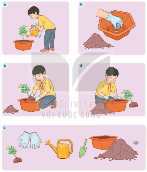 1. CÁC BƯỚC TRỒNG HOA, CÂY CẢNH TRONG CHẬU