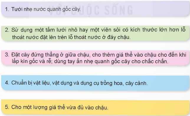 1. CÁC BƯỚC TRỒNG HOA, CÂY CẢNH TRONG CHẬU