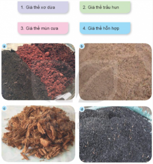 1. CHẬU TRỒNG HOA, CÂY CẢNHKhám phá: Em hãy quan sát Hình 1 và nêu đặc điểm của các loại chậu trồng cây trong hình theo các gợi ý sau: chất liệu, độ nặng nhẹ. Em hãy quan sát Hình 1 và nêu đặc điểm của các loại chậu trồng cây trong hình theo các gợi ý sau: chất liệu, độ nặng nhẹGiải chi tiết: Chậu bằng nhựaChậu bằng gốm, sứChậu bằng xi măngChất liệuNhựaGốm, sứXi măngĐộ nặng nhẹNhẹNặngNặng Vận dụng: Theo em, trong các loại chậu ở Hình 2, loại chậu nào phù hợp trồng cây để ở bàn, loại chậu nào phù hợp trồng cây để kẹp ở lan can, loại chậu nào phù hợp trồng cây để treo? Vì sao?....Giải chi tiết:Chậu phù hợp trồng cây để ở bàn là chậu a vì chậu nhỏ, dễ dàng để trên mặt bàn, không chiếm nhiều diện tích.Chậu phù hợp trồng cây để kẹp ở lan can là chậu c vì chậu có lỗ khoét ở giữa, phù hợp để gắn vào thành lan can.Chậu phù hợp trồng cây để treo là chậu b vì chậu có móc treo. Thực hành: Làm hoặc trang trí một chậu trồng hoa, cây cảnh phù hợp với sở thích của em (có thể dùng vật liệu tái chế đề bào vệ môi trường).Giải chi tiết:Gợi ý cách làm:Làm hoặc trang trí một chậu trồng hoa, cây cảnh phù hợp với sở thích của em (có thể dùng vật liệu tái chế đề bào vệ môi trường) 2. GIÁ THỂ TRỒNG HOA, CÂY CẢNH TRONG Khám phá: Em hãy sử dụng các thẻ dưới đây để gọi tên các loại giá thể trồng hoa, cây cảnh trong Hình 4 cho phù hợp.Giải chi tiết:a. Giá thể hỗn hợp.b. Giá thể mùn cưa.c. Giá thể xơ dừa.d. Giá thể trấu hun. 3. MỘT SỐ DỤNG CỤ TRỒNG HOAM CÂY CẢNH TRONG CHẬU