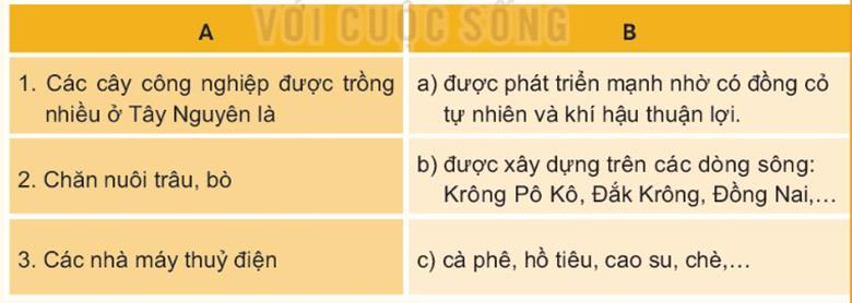 KHỞI ĐỘNGCâu hỏi: Dựa vào các hình 1, 2 em hãy cho biết một số hoạt động kinh tế chủ yếu ở vùng Tây Nguyên.Giải chi tiết: - Hoạt động chủ yếu ở vùng là trồng cây công nghiệp và vận hành nhà máy thủy điện.- Là vùng chuyên canh cây công nghiệp lớn.- Cây công nghiệp lâu năm phát triển khá nhanh với cây cà phê, cao su, chè, điều.→ Phát triển theo hướng sản xuất hàng hóa phục vụ xuất khẩu và cung cấp nguyên liệu cho công nghiệp chế biến.KHÁM PHÁ1. DÂN CƯCâu 1: Đọc thông tin và quan sát hình 3, em hãy kể tên một số dân tộc ở vùng Tây Nguyên.Giải chi tiết:Một số dân tộc : Ê đê, Ba Na, Mạ,..Câu 2: Đọc bảng thông tin, em hãy so sánh mật độ dân số của vùng Tây Nguyên với các vùng khác.Giải chi tiết:Vùng Tây Nguyên có mật độ dân số thấp nhất so với vùng khác. Người dân thường sống tập trung thành các buôn làng cùng nhau.2. MỘT SỐ HOẠT ĐỘNG KINH TẾ CHỦ YẾUa) Trồng cây công nghiệpCâu hỏi: Đọc thông tin và quan sát các hình 4, 5, em hãy:- Kể tên các loại cây công nghiệp được trồng nhiều ở vùng Tây Nguyên.- Xác định trên lược đồ những nơi trồng nhiều các loại cây đó.Giải chi tiết:- Các loại cây công nghiệp ở Tây Nguyên như: Cao su, cà phê, hồ tiêu, chè,..- Đắk Lắk trồng cao su, chè, hồ tiêu; Kon Tum trồng cà phê, cao su,..b) Chăn nuôi gia súcCâu hỏi: Đọc thông tin và quan sát hình 5, em hãy:- Xác định trên lược đồ những nơi nuôi nhiều trâu, bò và lợn ở vùng Tây Nguyên.- Giải thích vì sao trâu, bò được nuôi nhiều ở vùng Tây Nguyên.Giải chi tiết:- Trâu, bò được nuôi nhiều ở tỉnh Gia Lai và tỉnh Đắk Lắk. Lợn được nuôi nhiều ở Đắk Lắk.- Trâu, bồ được nuôi nhiều do có đồng cỏ tự nhiên và khí hậu thuận lợi.c) Phát triển thủy điệnCâu hỏi: Đọc thông tin và quan sát hình 5, em hãy:- Kể tên và chỉ trên lược đồ một số nhà máy thủy điện ở vùng Tây Nguyên.- Giải thích vì sao vùng Tây Nguyên có nhiều nhà máy thủy điện.Giải chi tiết:- Một số nhà máy thủy điện như: Sê San, Đồng Nai,..- Sông ngòi ở vùng chảy qua nhiều bậc địa hình có độ dốc lớn nên có khả năng phát triển thủy điện.LUYỆN TẬPCâu 1: Dựa vào bảng mật độ dân số các vùng ở nước ta năm 2020, hãy sắp xếp mật độ dân số các vùng theo thứ tự từ cao xuống thấp. Giải chi tiết:Sắp xếp mật độ dân số các vùng theo thứ tự từ cao xuống thấp: Đồng bằng Bắc Bộ => Nam Bộ => Duyên hải miền Trung => Trung du và miền núi Bắc Bộ => Tây Nguyên.Câu 2: Chọn ý ở cột A sao cho phù hợp với ý ở cột B và ghi kết quả vào vở.Giải chi tiết:1 - c2 - a3 - bVẬN DỤNG