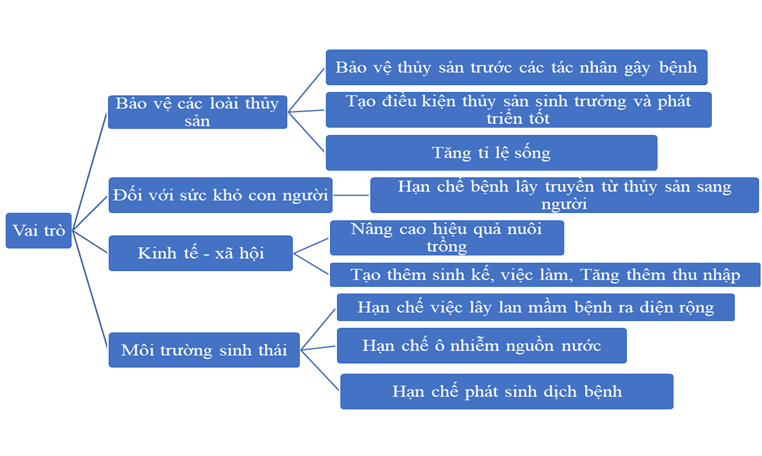 Khởi động: Khử trùng ao nuôi (Hình 23.1) có vai trò như thế nào đối với phòng bệnh thủy sản? Bệnh thủy sản là gì?Giải chi tiết:a. Vai trò của khử trùng ao nuôi đối với phòng bệnh thủy sản:1. Loại bỏ mầm bệnh:- Khử trùng ao nuôi giúp loại bỏ các mầm bệnh như vi khuẩn, virus, nấm, ký sinh trùng,... tồn tại trong ao từ vụ nuôi trước.- Giảm nguy cơ lây lan bệnh sang vụ nuôi sau.2. Cải thiện môi trường ao nuôi:- Khử trùng giúp loại bỏ các chất hữu cơ dư thừa, thức ăn thừa,... trong ao.- Giúp môi trường ao nuôi sạch hơn, tạo điều kiện tốt cho sự phát triển của con nuôi.3. Tăng năng suất nuôi trồng:- Khử trùng giúp giảm nguy cơ dịch bệnh, do đó, giúp tăng năng suất nuôi trồng thủy sản.- Giảm chi phí cho việc phòng trị bệnh.4. Bảo vệ môi trường:- Khử trùng giúp hạn chế sử dụng hóa chất trong quá trình nuôi trồng thủy sản.- Giảm thiểu ô nhiễm môi trường.b. Bệnh thuỷ sản là trạng thái không bình thường của các loài thuỷ sản khi có nguyên nhân tác động. Khi các loài thuỷ sản bị bệnh thường có các biểu hiện như phản xạ chậm, boi tách đàn, mất thăng bằng, giảm ăn hoặc bỏ ăn, chậm lớn, xuất hiện các tổn thương trên cơ thể, bệnh nặng có thể gây chếtI. KHÁI NIỆM BỆNH THỦY SẢNKết nối năng lực: Sử dụng internet, sách, báo, ... để tìm hiểu về một sô bệnh phổ biến ở các loài thủy sản.Giải chi tiết:1. Bệnh do vi khuẩn:- Bệnh đốm trắng (WSSV): Gây ra bởi virus, lây lan nhanh và có tỷ lệ tử vong cao. Triệu chứng: tôm bỏ ăn, lờ đờ, vỏ mỏng, xuất hiện đốm trắng trên vỏ.- Bệnh hoại tử gan tụy cấp (AHPND): Gây ra bởi vi khuẩn Vibrio parahaemolyticus, ảnh hưởng đến tôm sú, tôm thẻ chân trắng. Triệu chứng: tôm bỏ ăn, lờ đờ, gan tụy sưng to, vỏ mềm, phân trắng.- Bệnh vibriosis: Gây ra bởi vi khuẩn Vibrio spp., ảnh hưởng đến nhiều loài cá. Triệu chứng: cá bỏ ăn, lờ đờ, xuất hiện các đốm đỏ trên da, xuất huyết.2. Bệnh do nấm:- Bệnh Saprolegnia: Gây ra bởi nấm Saprolegnia spp., ảnh hưởng đến nhiều loài cá. Triệu chứng: cá xuất hiện các mảng trắng trên da, nấm mọc trên mang và vây.- Bệnh Ichthyophonus: Gây ra bởi nấm Ichthyophonus hoferi, ảnh hưởng đến nhiều loài cá. Triệu chứng: cá bỏ ăn, lờ đờ, cơ thể gầy yếu, xuất hiện các nốt trắng trên da.3. Bệnh do ký sinh trùng:- Bệnh trùng mỏ neo: Gây ra bởi ký sinh trùng Lernaea spp., ký sinh trên da cá. Triệu chứng: cá ngứa ngáy, lờ đờ, xuất hiện các mảng trắng trên da.- Bệnh trùng da: Gây ra bởi ký sinh trùng Dactylogyrus spp., ký sinh trên da và mang cá. Triệu chứng: cá ngứa ngáy, lờ đờ, xuất hiện các mảng trắng trên da, mang cá bị sưng đỏ.4. Bệnh do thiếu hụt dinh dưỡng:- Bệnh thiếu vitamin C: Gây ra bởi thiếu vitamin C, ảnh hưởng đến nhiều loài cá. Triệu chứng: cá xuất hiện các đốm đen trên da, vây và mang, xuất huyết.- Bệnh thiếu vitamin B1: Gây ra bởi thiếu vitamin B1, ảnh hưởng đến nhiều loài cá. Triệu chứng: cá lờ đờ, bơi lờ đờ, mất thăng bằng, co giật.II. VAI TRÒ CỦA PHÒNG, TRỊ BỆNH THỦY SẢNKhám phá: Nêu vai trò  của phòng, trị bệnh đối với các loài thủy sản. Liên với thực tiễn nuôi trồng thủy sản ở địa phương em.Giải chi tiết:Vai trò:+ Giảm nguy cơ dịch bệnh: Phòng bệnh giúp ngăn chặn sự lây lan của dịch bệnh, bảo vệ đàn thủy sản khỏi nguy cơ mắc bệnh.+ Tăng năng suất nuôi trồng: Phòng bệnh giúp giảm thiểu tỷ lệ hao hụt do dịch bệnh, tăng năng suất nuôi trồng thủy sản+ Hạn chế thiệt hại do dịch bệnh: Trị bệnh giúp giảm thiểu tỷ lệ hao hụt do dịch bệnh, hạn chế thiệt hại cho người nuôi.+ Nâng cao chất lượng sản phẩm: Trị bệnh giúp nâng cao chất lượng sản phẩm thủy sản, đảm bảo an toàn thực phẩm.Liên hệ địa phương:- Một số biện pháp phòng bệnh phổ biến ở địa phương em bao gồm:+ Bón vôi ao nuôi trước khi thả giống.+ Sử dụng các chế phẩm sinh học để cải thiện môi trường ao nuôi.+ Tắm cho cá bằng các dung dịch sát khuẩn.- Một số biện pháp trị bệnh phổ biến ở địa phương em bao gồm:+ Sử dụng các loại thuốc thú y theo hướng dẫn của cán bộ kỹ thuật.+ Áp dụng các biện pháp điều trị bằng phương pháp dân gian.+ Cách ly con nuôi bị bệnh để tránh lây lan sang con khỏe.Khám phá: Nêu vai trò của phòng, trị bệnh đối với hiệu quả nuôi trồng thủy sản. Liên với thực tiễn nuôi trồng thủy sản ở địa phương em. Giải chi tiết:- Vai trò:+ Nâng cao hiệu quả nuôi trồng+ Giảm thiểu thiệt hại cho người nuôi+ Tạo thêm sinh kế, việc làm+ Tăng thêm thu nhập+ Góp phần phát triển nuôi trồng thủy sản bền vững.- Liên hệ địa phương: Gợi ý tỉnh Bến Tre:Nuôi tôm sú, cua, cá tra: Người nuôi thường xuyên vệ sinh ao nuôi, sử dụng con giống khỏe mạnh, cho ăn thức ăn đầy đủ dinh dưỡng, và áp dụng các biện pháp phòng bệnh như:+ Bón vôi ao nuôi trước khi thả giống.+ Sử dụng các chế phẩm sinh học để cải thiện môi trường ao nuôi.+ Tắm cho cá bằng các dung dịch sát khuẩn.+ Sử dụng các loại thảo dược có khả năng phòng bệnh. Khám phá: Nêu vai trò của phòng, trị bệnh đối với môi trường sinh thái. Liên với thực tiễn nuôi trồng thủy sản ở địa phương em.Giải chi tiết:- Vai trò:+ Hạn chế việc lây lan mầm bệnh ra diện rộng+ Hạn chế ô nhiễm nguồn nước+ Hạn chế phát sinh dịch bệnh+ Hạn chế tồn dư thuốc, hóa chất trong nước nuôi thủy sản, nước thải- Liên hệ địa phương: Gợi ý tình Bến Tre:Nuôi ốc hương: Người nuôi thường xuyên vệ sinh ao nuôi, sử dụng con giống khỏe mạnh, cho ăn thức ăn đầy đủ dinh dưỡng, và áp dụng các biện pháp phòng bệnh như:+ Bổ sung vitamin C vào thức ăn để tăng sức đề kháng cho ốc.+ Sử dụng các loại thuốc phòng bệnh theo hướng dẫn của cán bộ kỹ thuật.LUYỆN TẬPCâu 1: Trình bày khái niệm và tác hại của bệnh thủy sảnGiải chi tiết:- Bệnh thủy sản là những trạng thái bất thường về mặt sinh lý, sinh hóa, di truyền,... xảy ra ở các loài thủy sản do tác nhân gây bệnh (như vi khuẩn, virus, nấm, ký sinh trùng) hoặc do môi trường sống không phù hợp.- Tác hại:+ Ảnh hưởng đến năng suất và chất lượng sản phẩm:+ Gây ô nhiễm môi trường:+ Ảnh hưởng đến kinh tế:+ Ảnh hưởng đến an ninh lương thực:+ Ảnh hưởng đến hệ sinh thái:Câu 2: Trình bày vai trò của phòng, trị bệnh thủy sản dưới dạng sơ đồ tư duy.Giải chi tiết:VẬN DỤNG