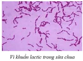 1. Mục đích