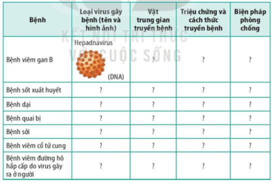 1. Mục đích
